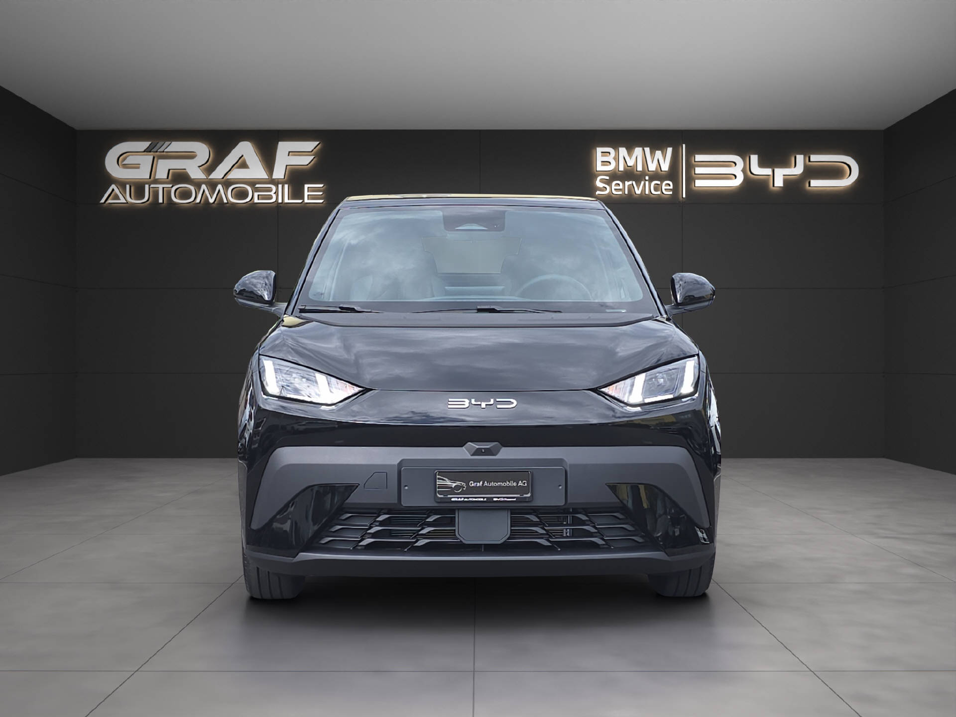 BYD Dolphin Surf Comfort-showroom-element-1