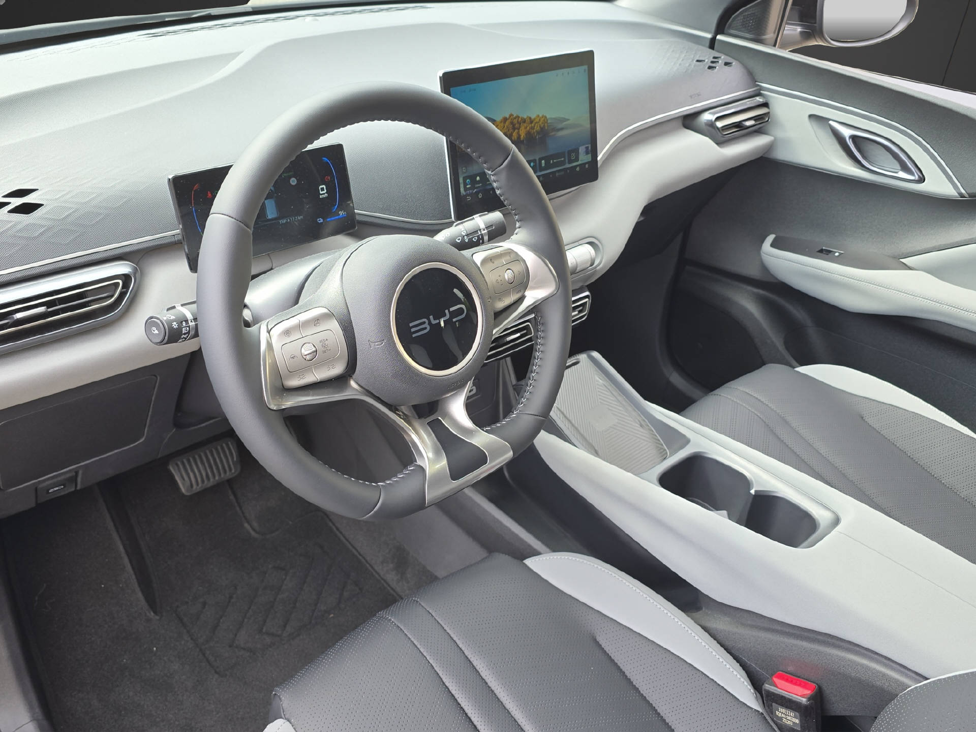 BYD Dolphin Surf Comfort-image-7