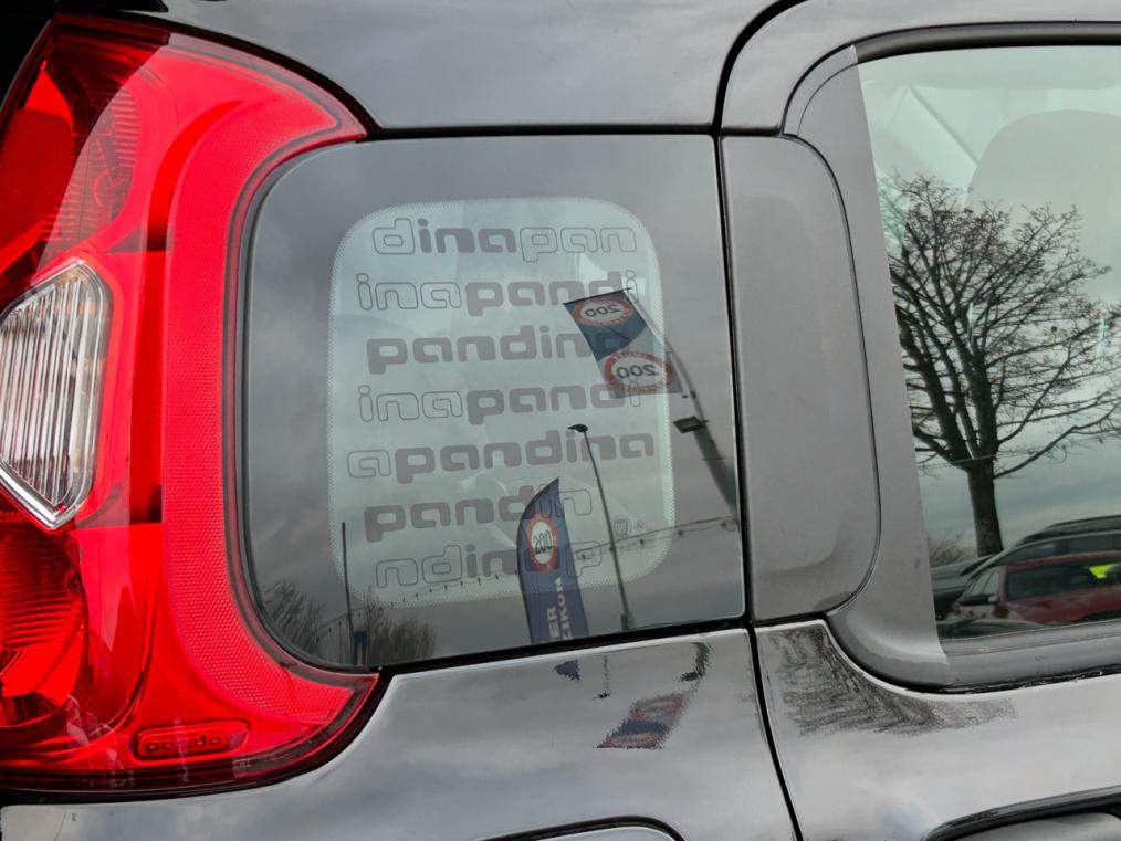 FIAT Panda 1.0 MHEV PANDINA-showroom-element-3