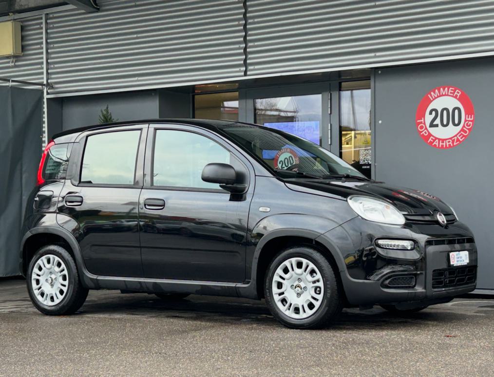 FIAT Panda 1.0 MHEV PANDINA-showroom-element-1