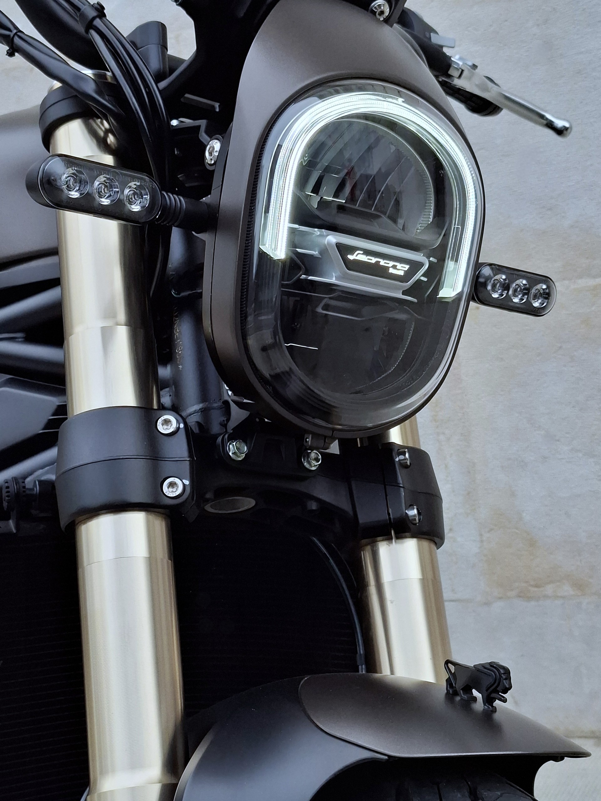 BENELLI Leoncino 800-image-7