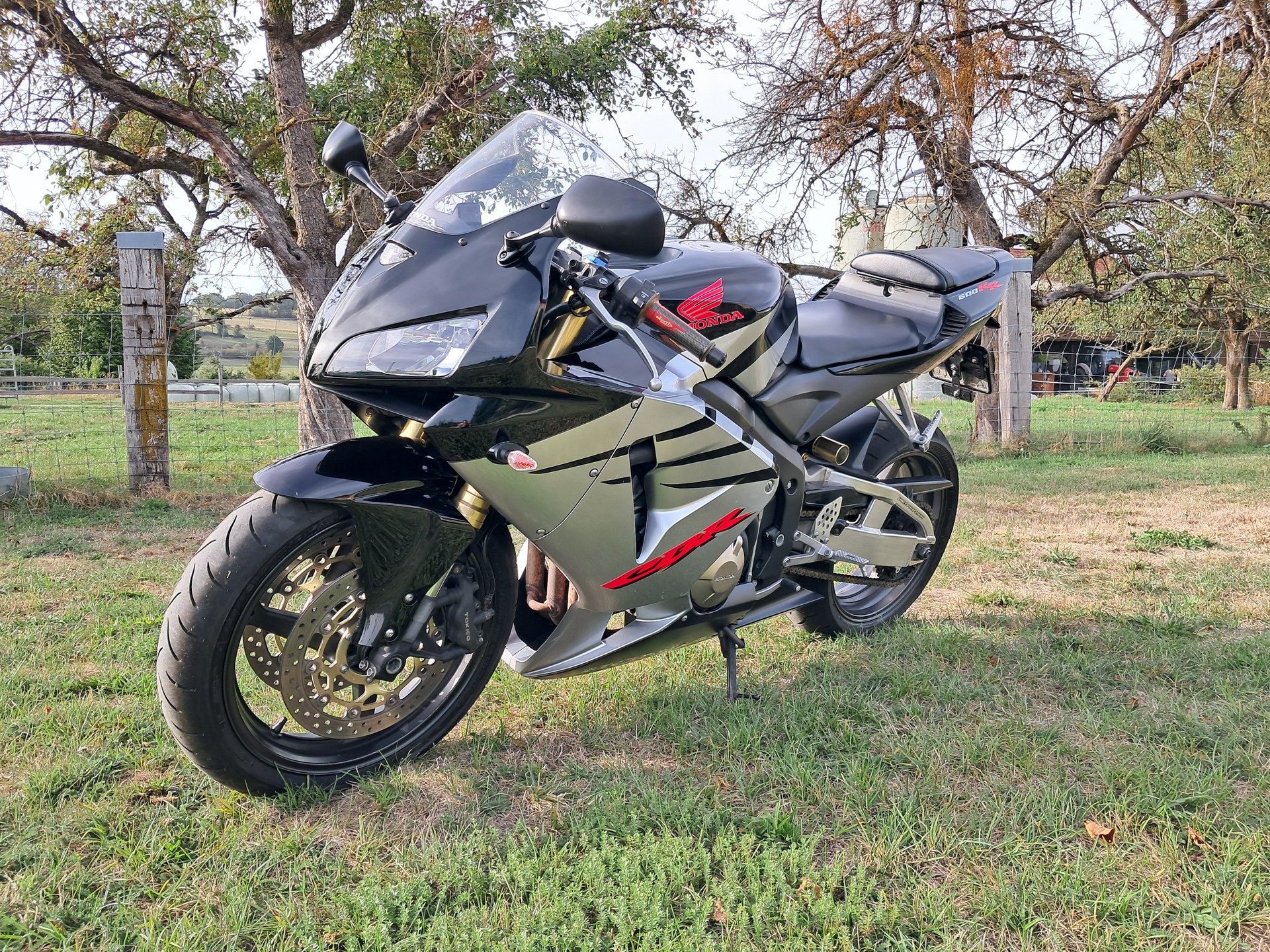 HONDA CBR 600 RR-image-1