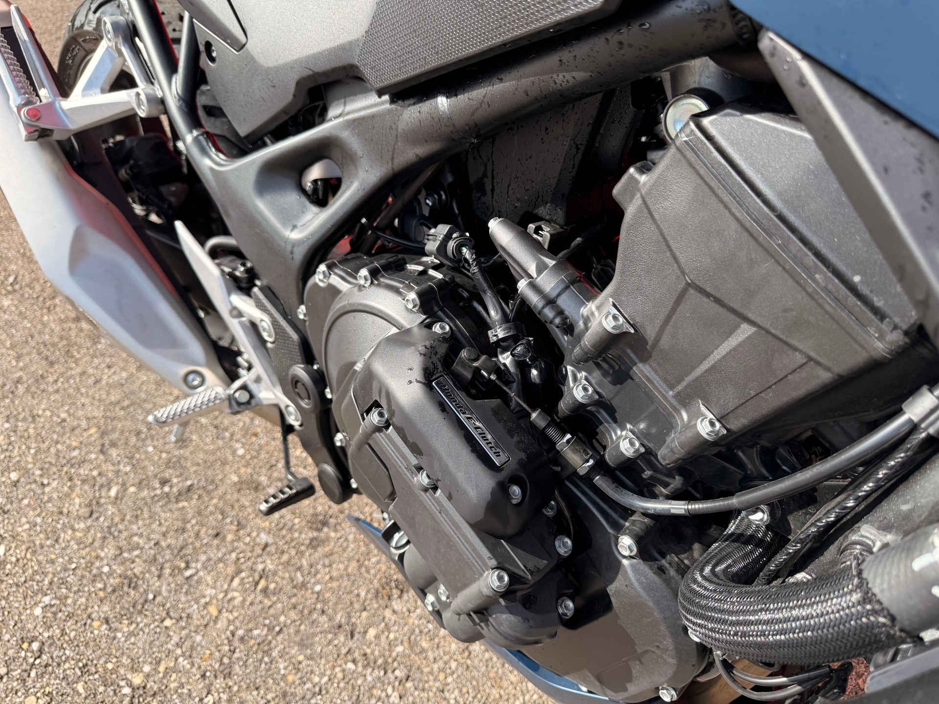 HONDA CB 750 Hornet E-Clutch-image-3