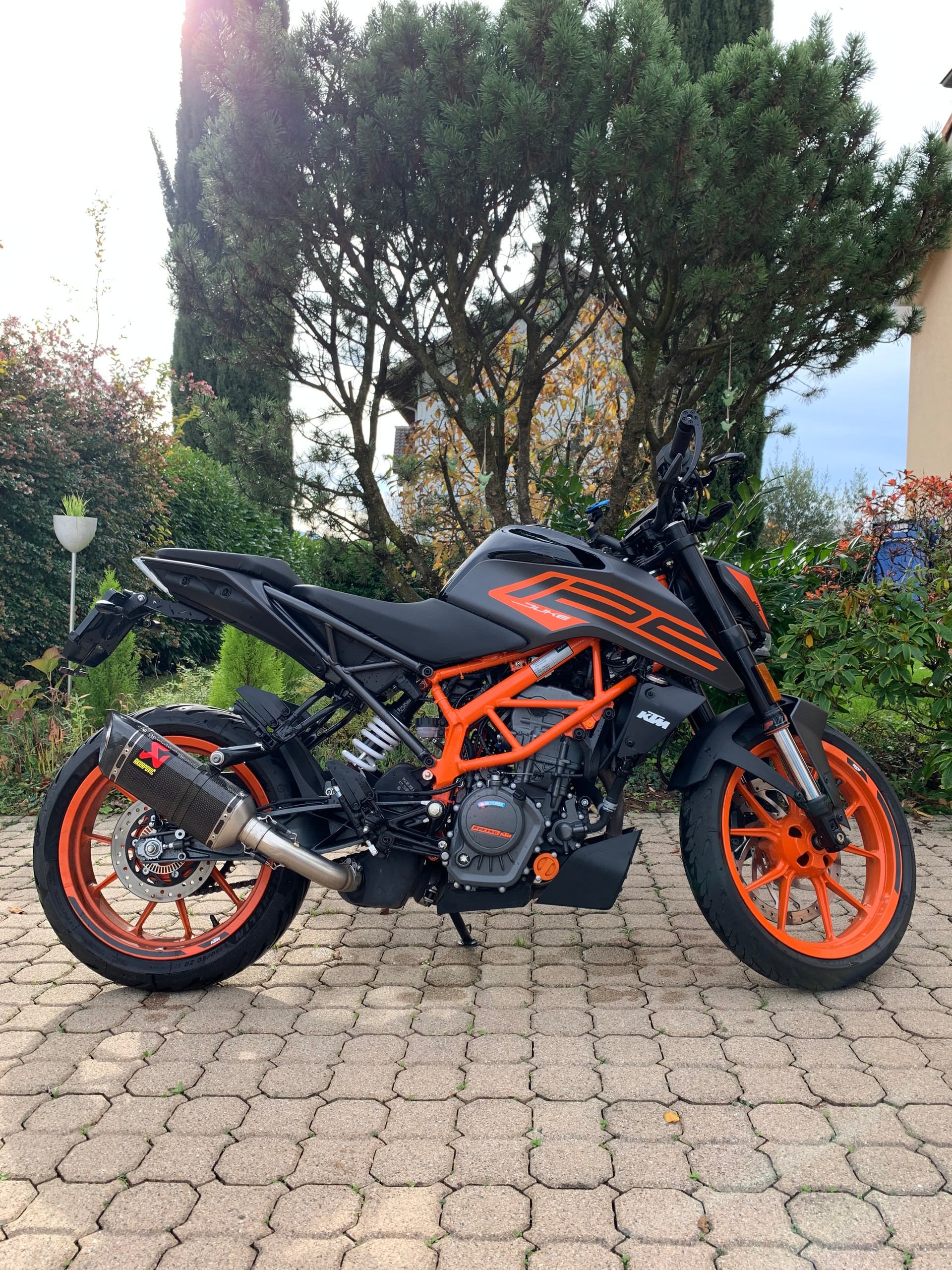 KTM 125 Duke-image-1