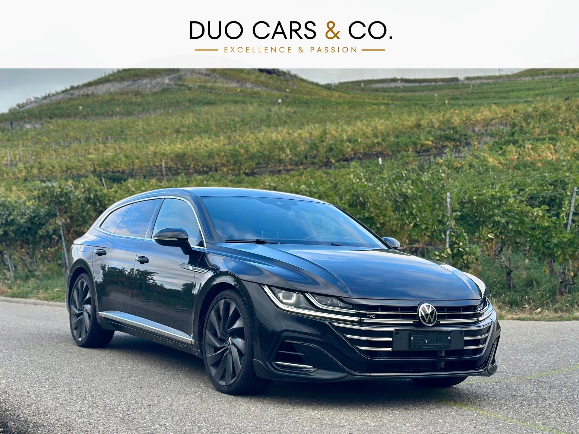 VW Arteon SB 2.0 TDI R-Line 4Motion DSG * Crochet*