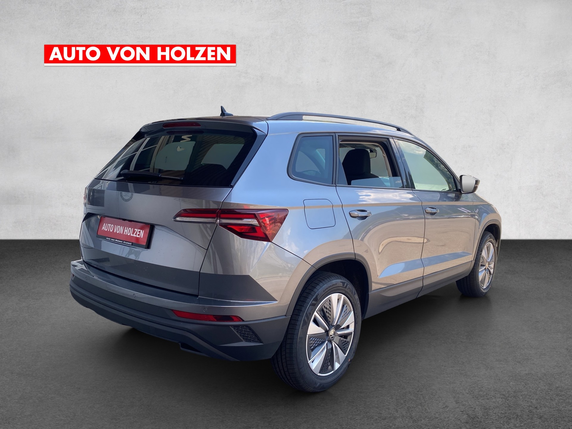 SKODA Karoq 2.0 TDI CR Ambition 4x4 DSG-showroom-element-3