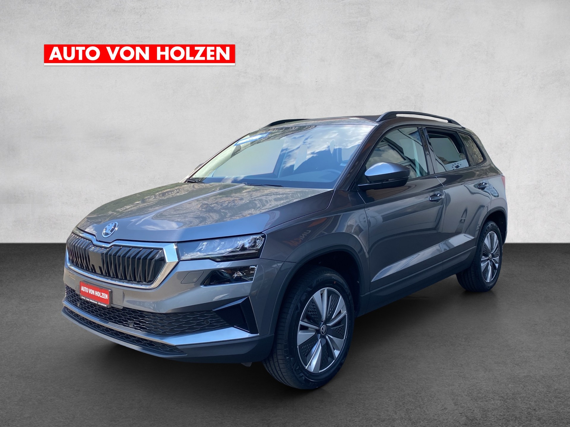 SKODA Karoq 2.0 TDI CR Ambition 4x4 DSG-showroom-element-1