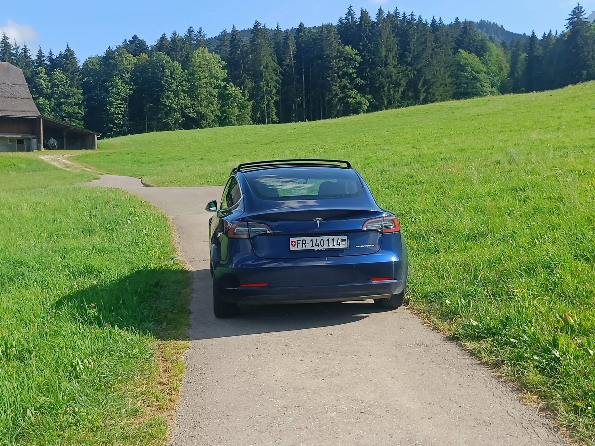 TESLA Model 3 Long Range Dual Motor AWD-image-11