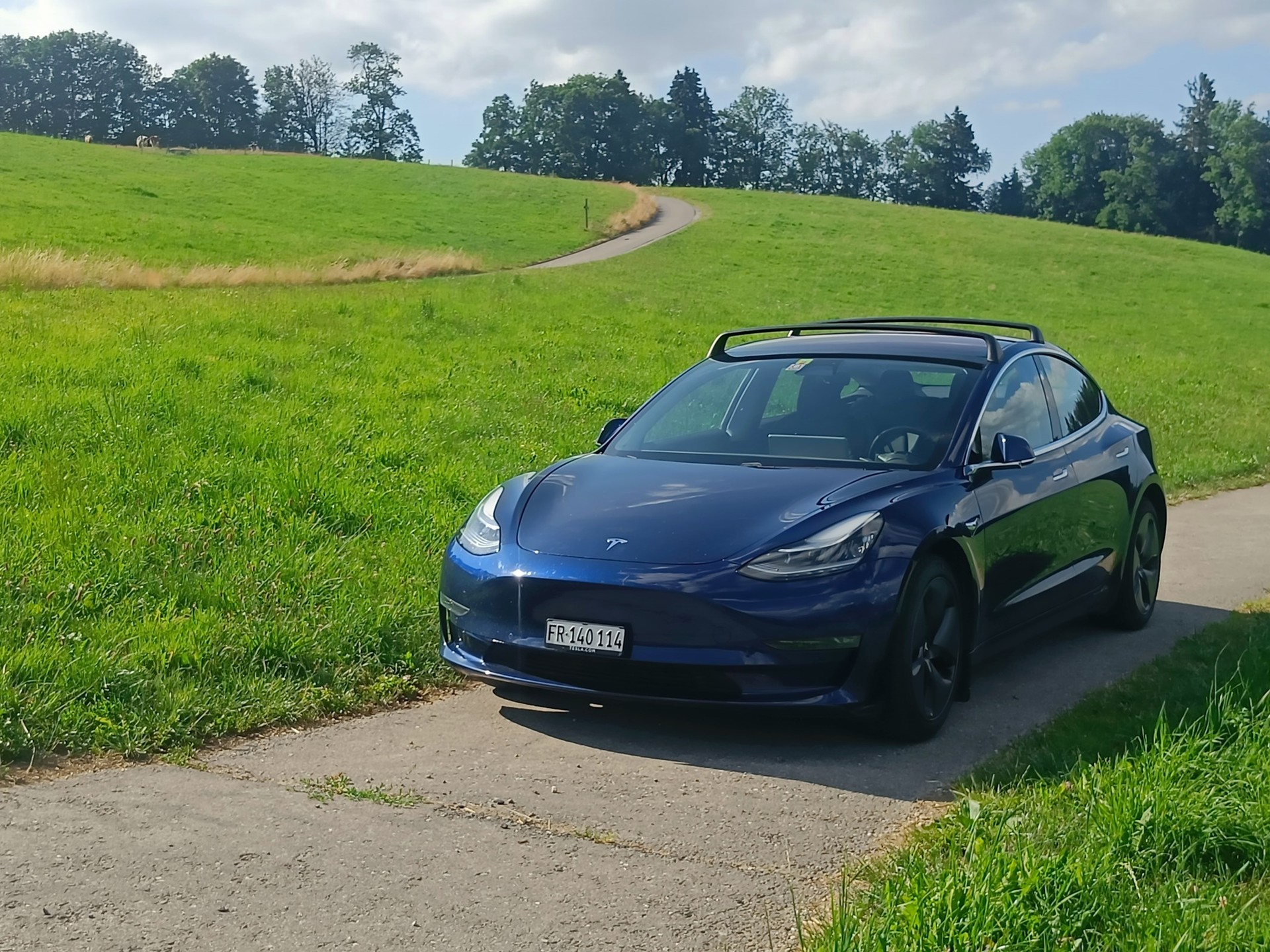 TESLA Model 3 Long Range Dual Motor AWD-image-2
