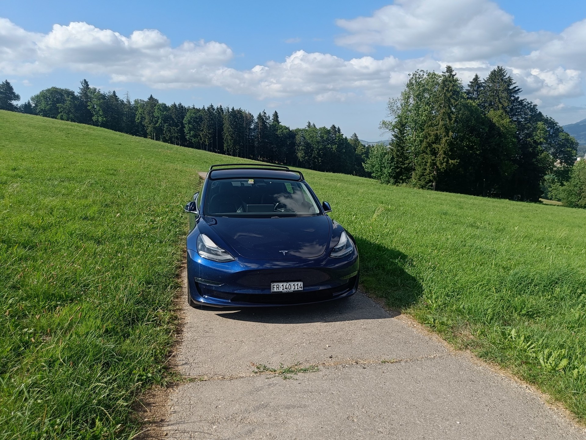 TESLA Model 3 Long Range Dual Motor AWD-image-8