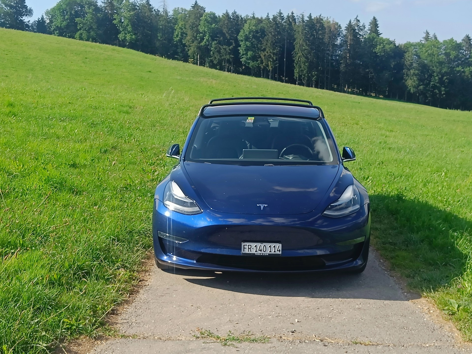 TESLA Model 3 Long Range Dual Motor AWD-image-9