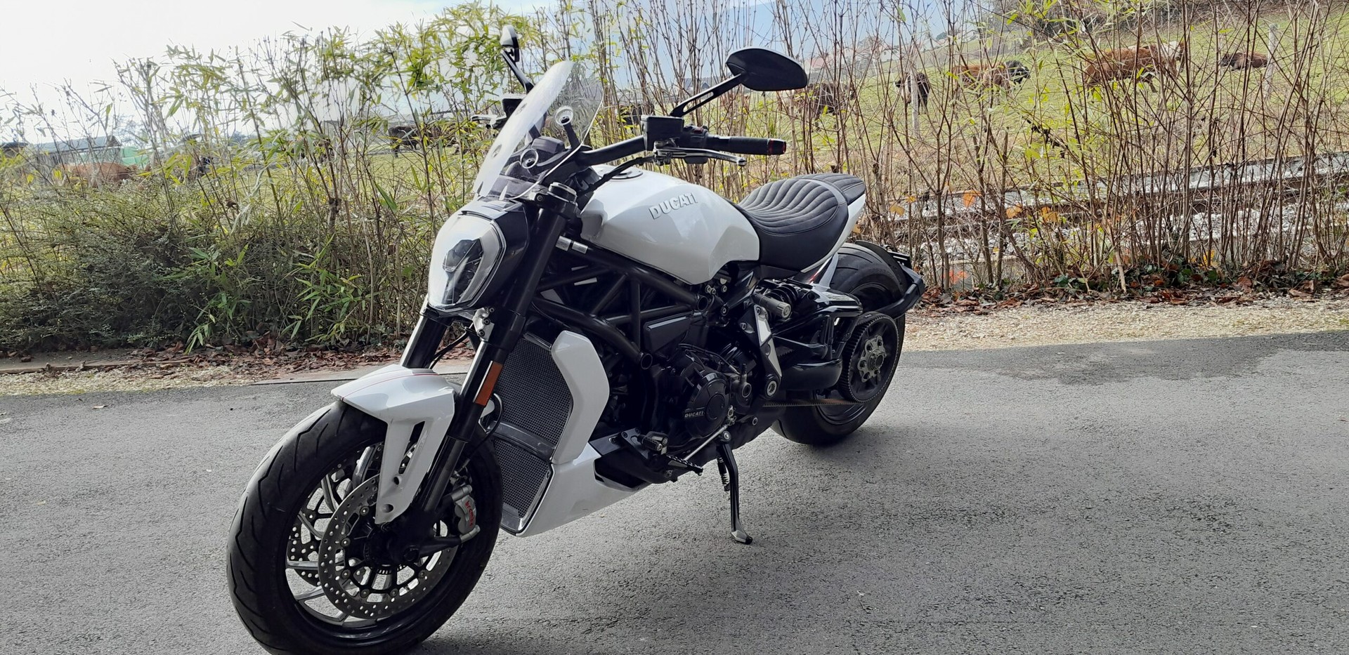 DUCATI XDiavel 1260 S-image-2