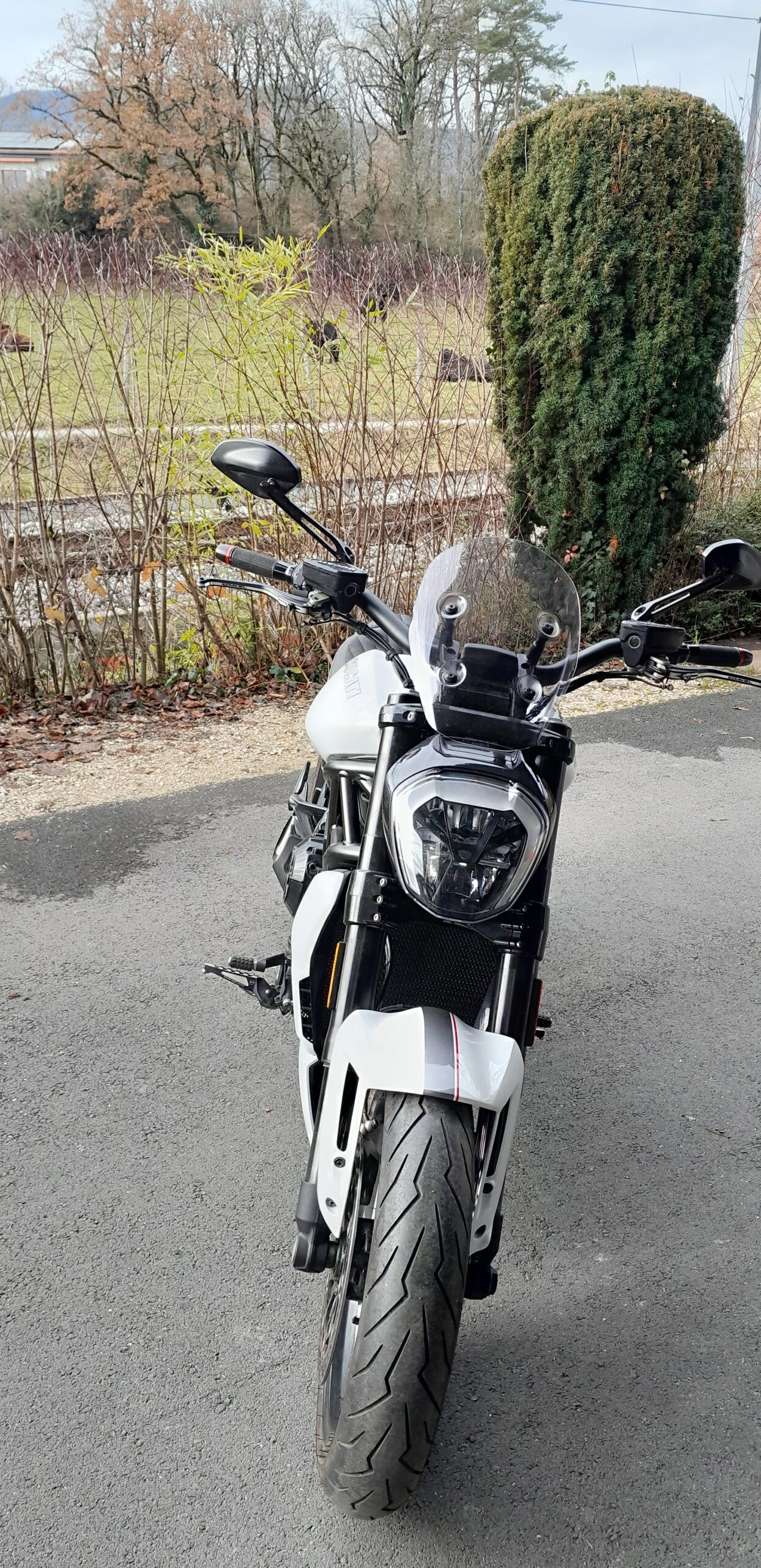 DUCATI XDiavel 1260 S-image-3