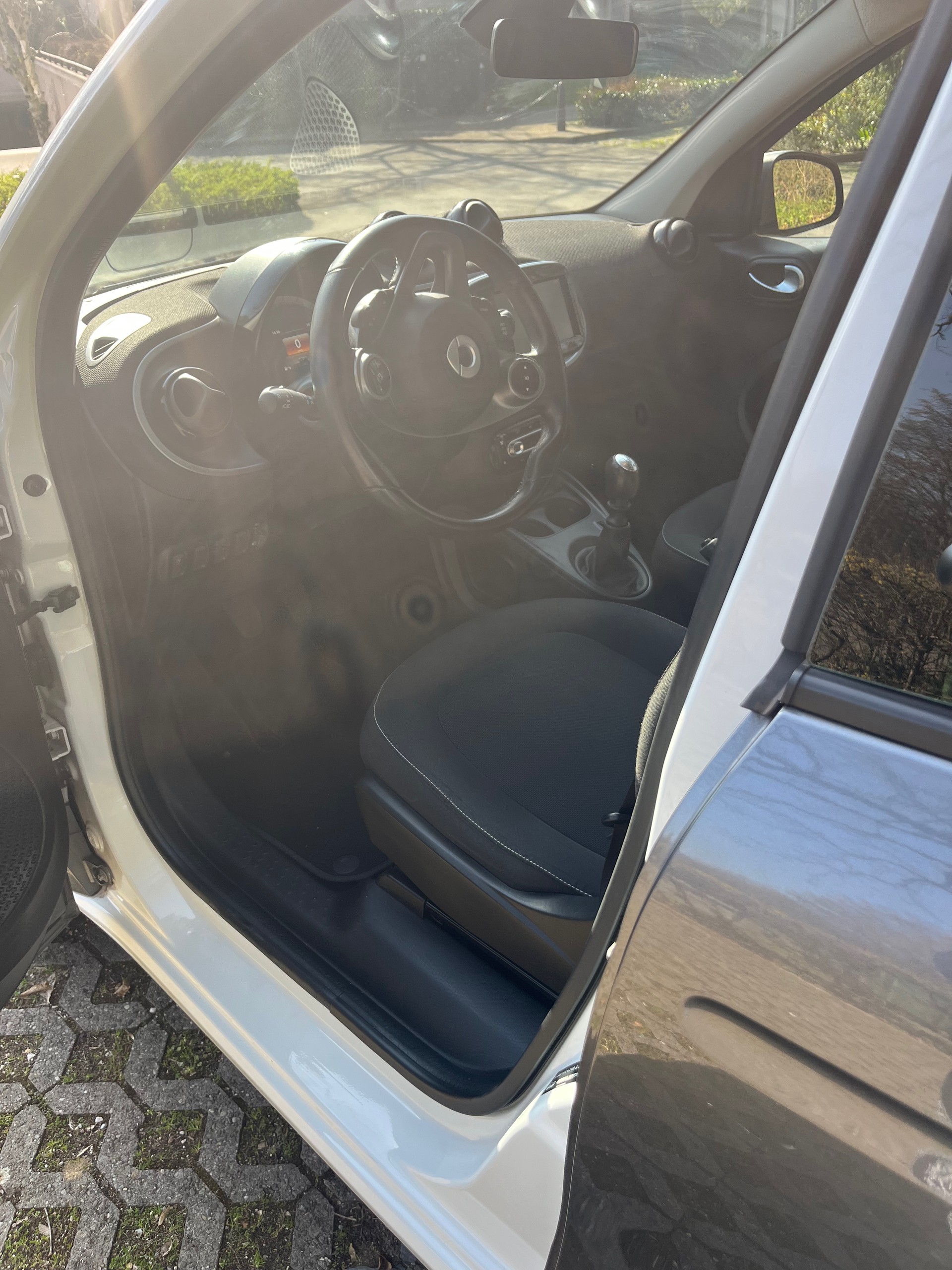 SMART forfour passion-image-3