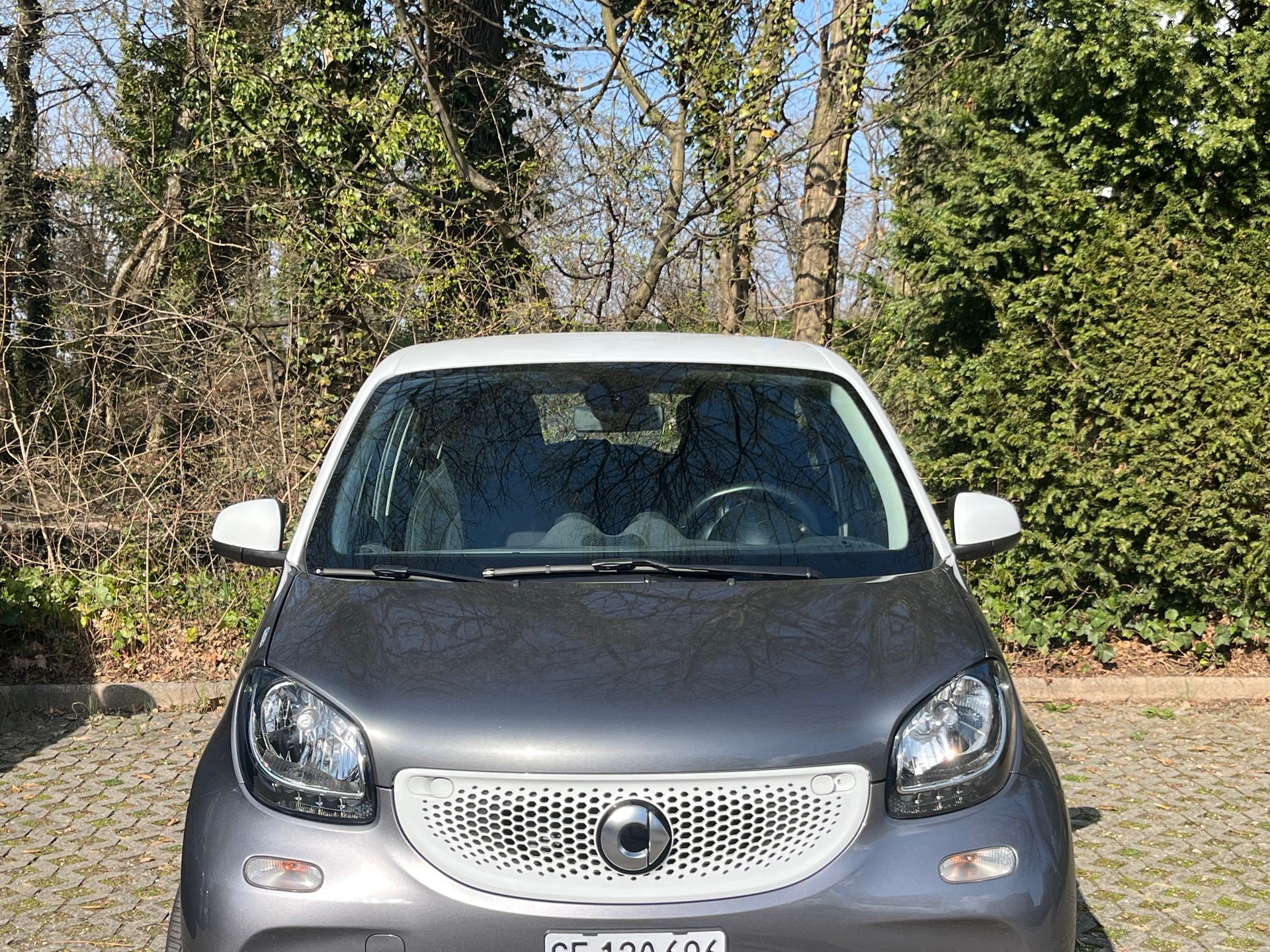 SMART forfour passion