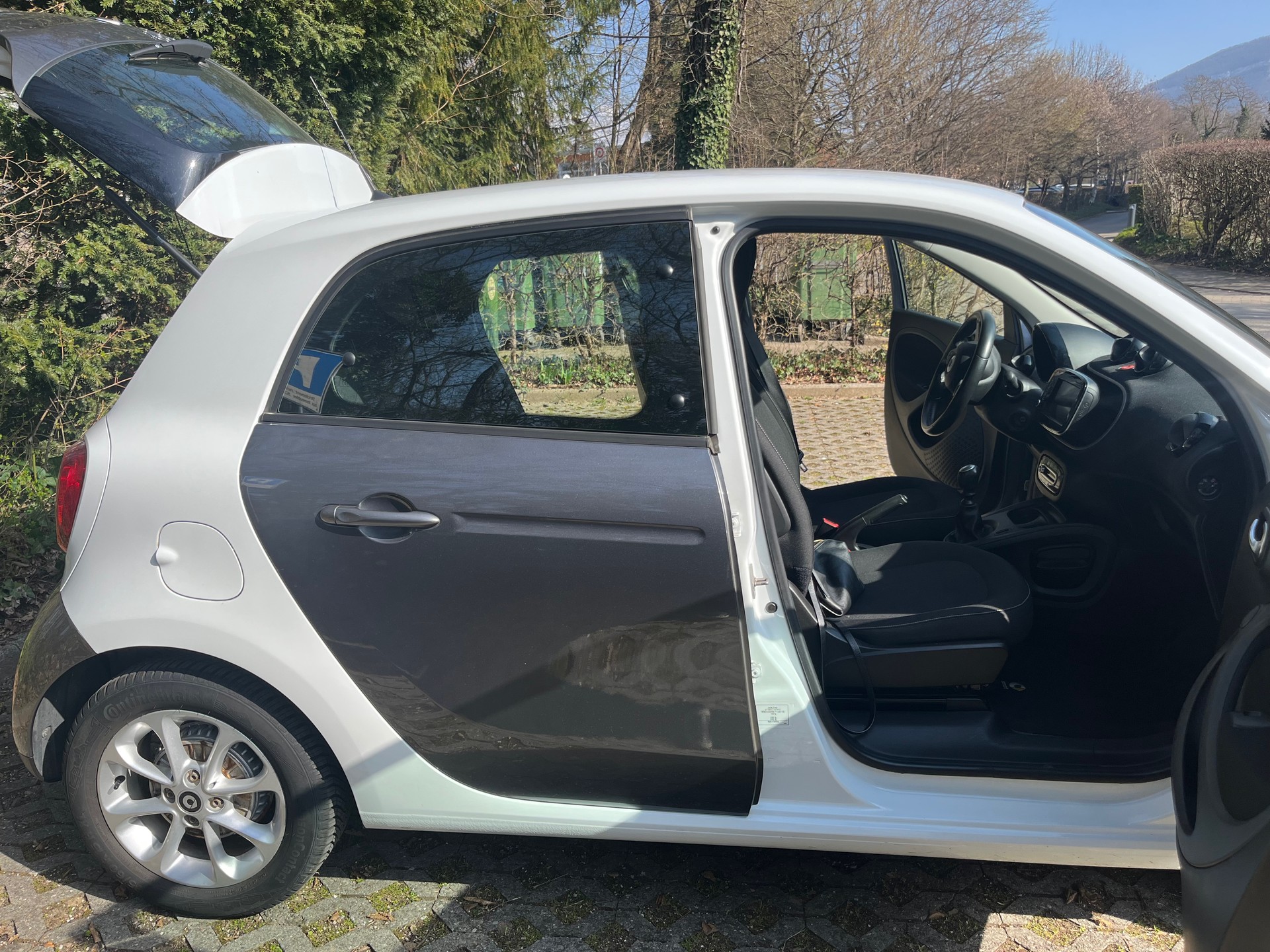 SMART forfour passion-image-10
