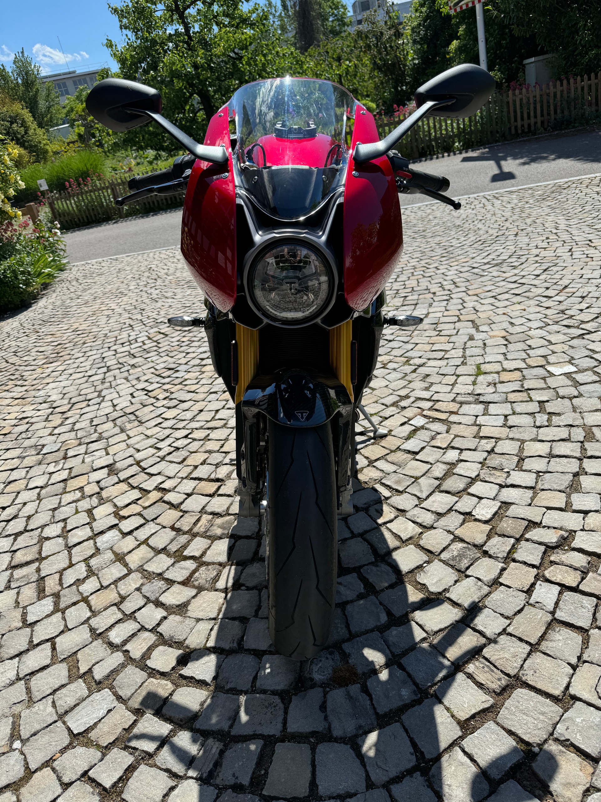 TRIUMPH Speed Triple RR-image-7