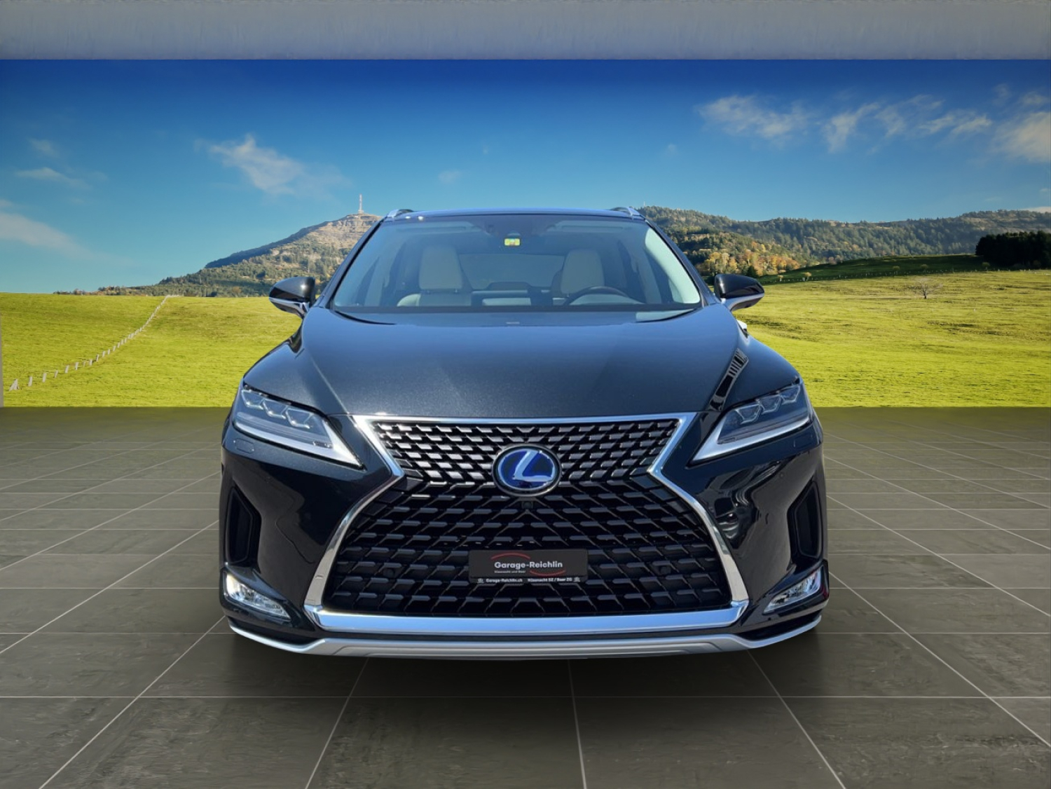 LEXUS RX 450h Excellence-image-7