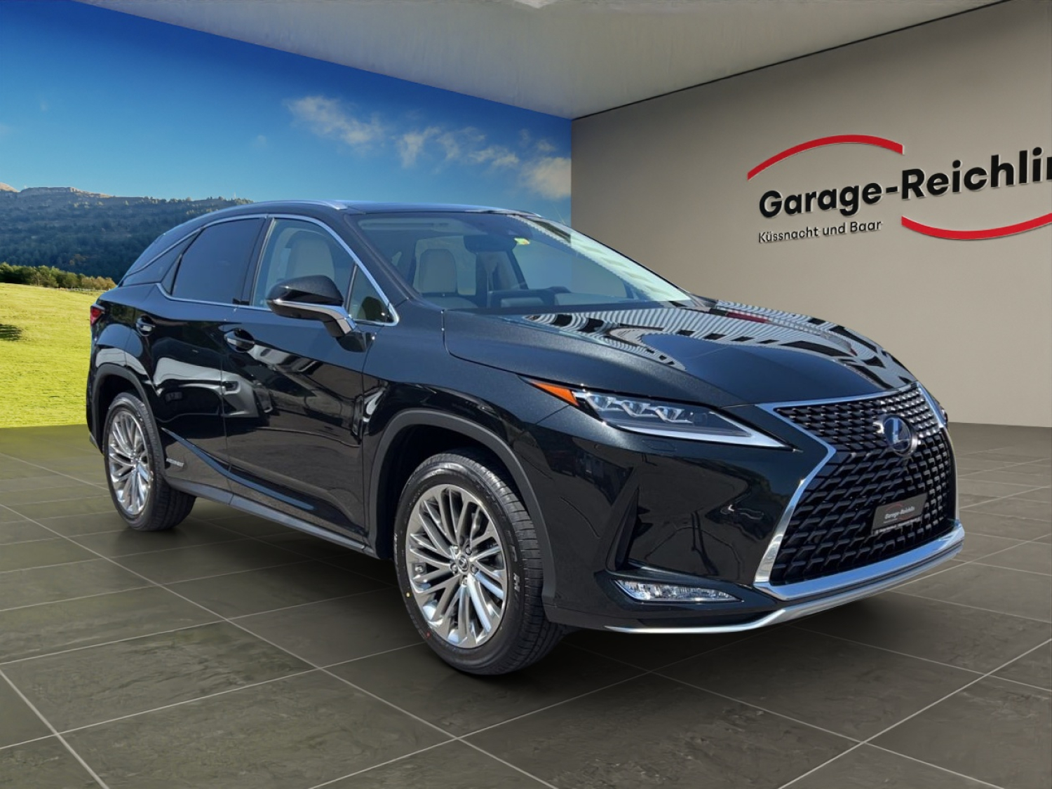 LEXUS RX 450h Excellence-image-6