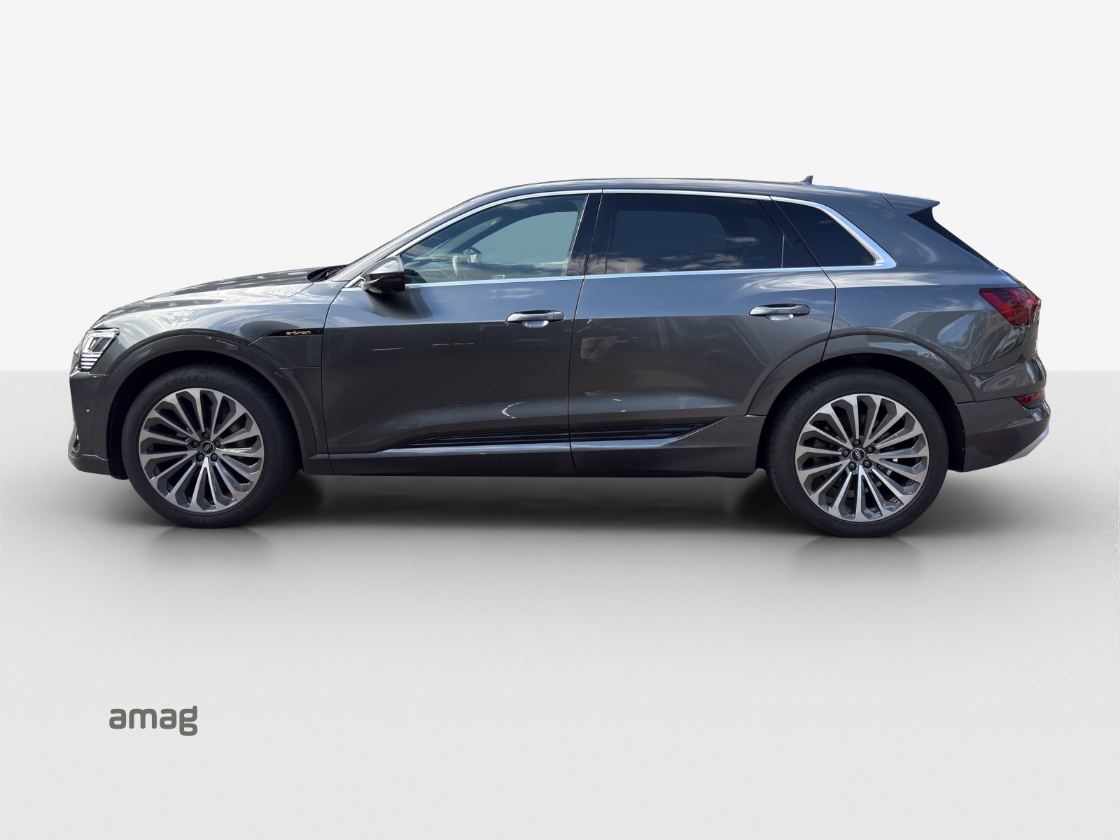 AUDI e-tron 55 S Line quattro-showroom-element-1