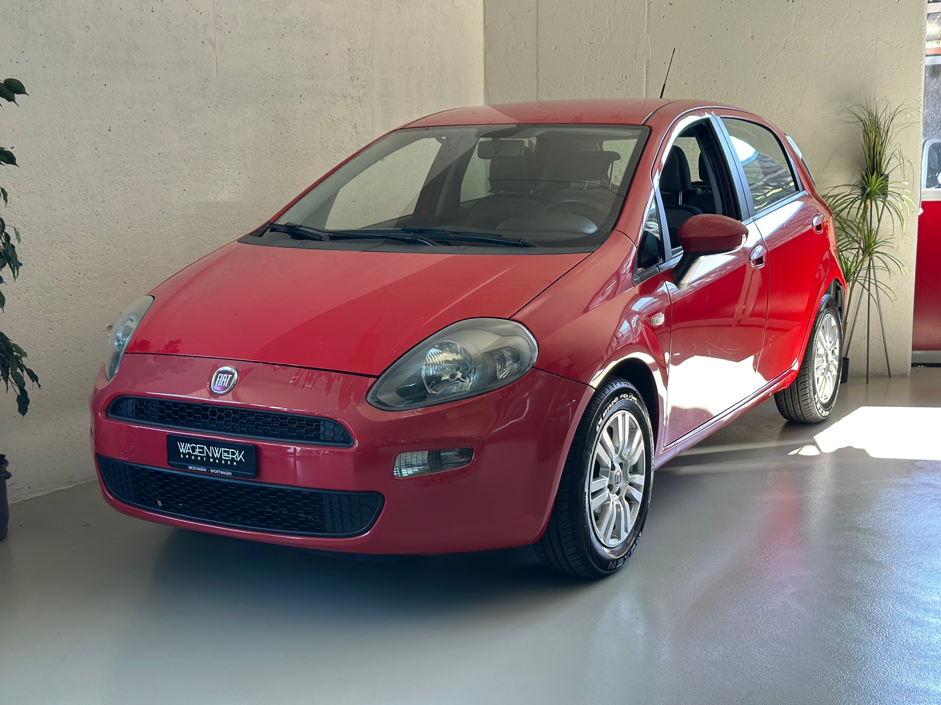 FIAT Punto 1.4 Pop Star-showroom-element-2