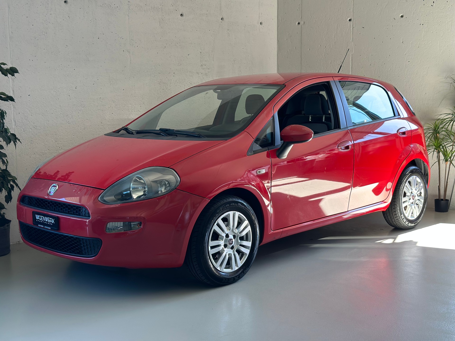 FIAT Punto 1.4 Pop Star-showroom-element-1
