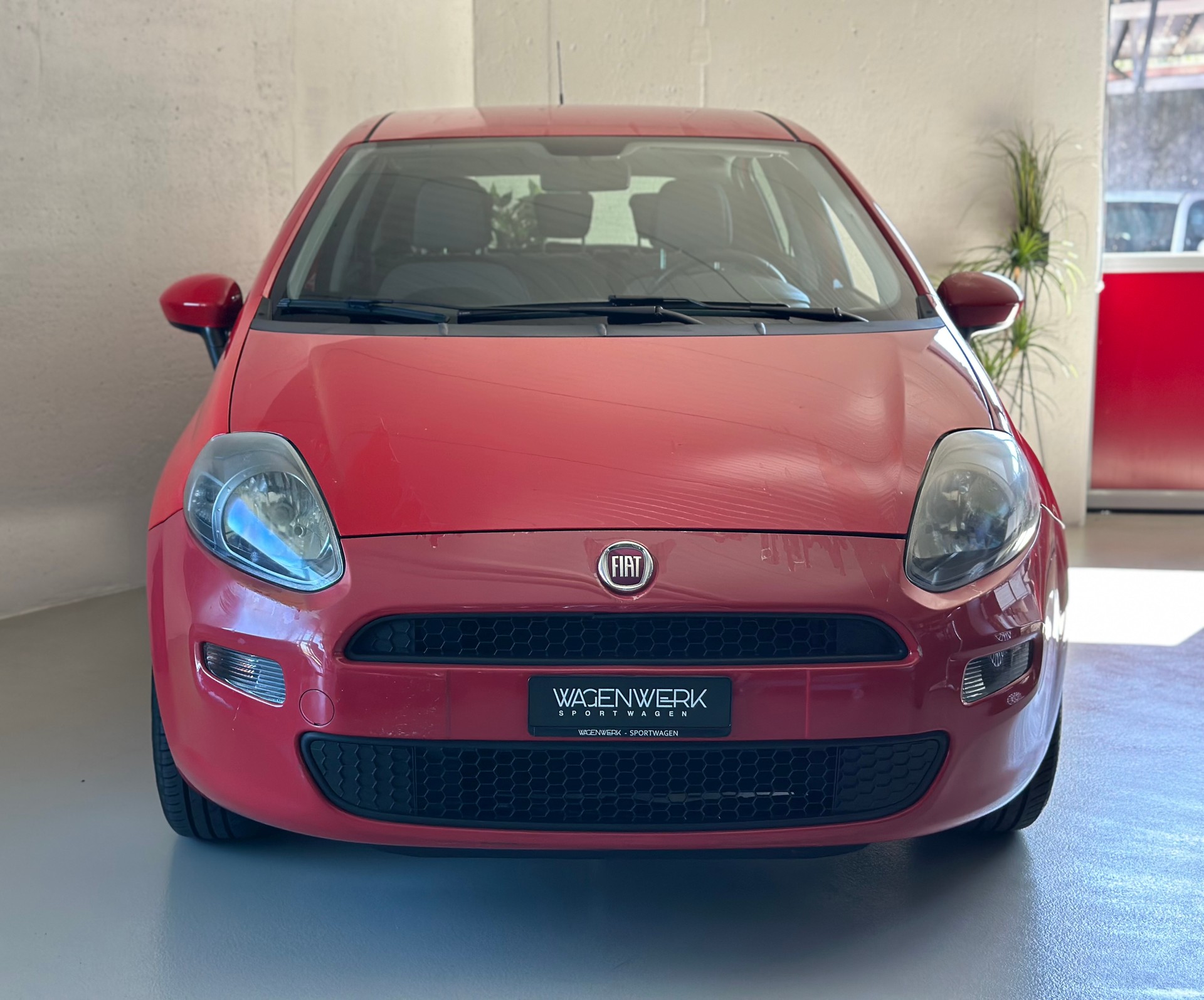 FIAT Punto 1.4 Pop Star-showroom-element-3