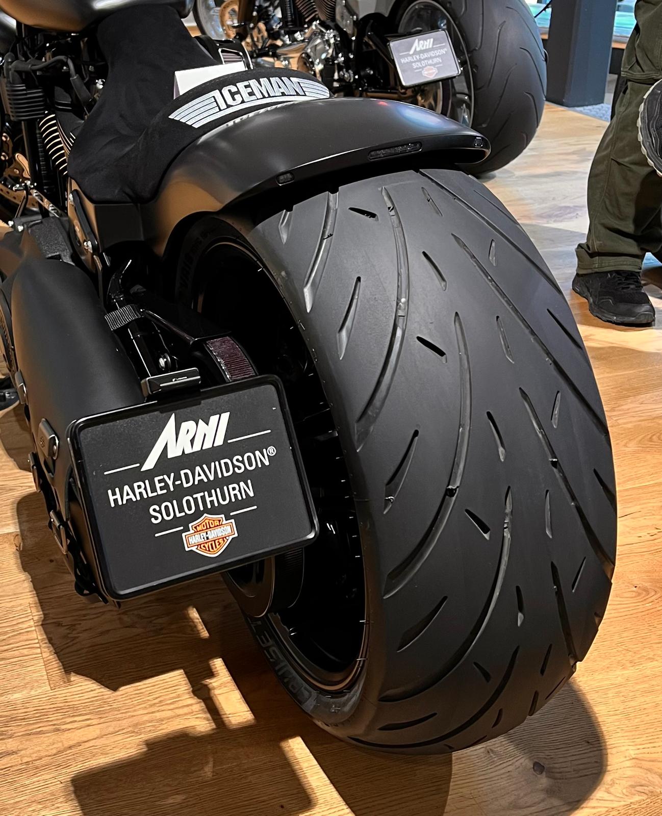 HARLEY-DAVIDSON FXBRS Breakout 114-image-2