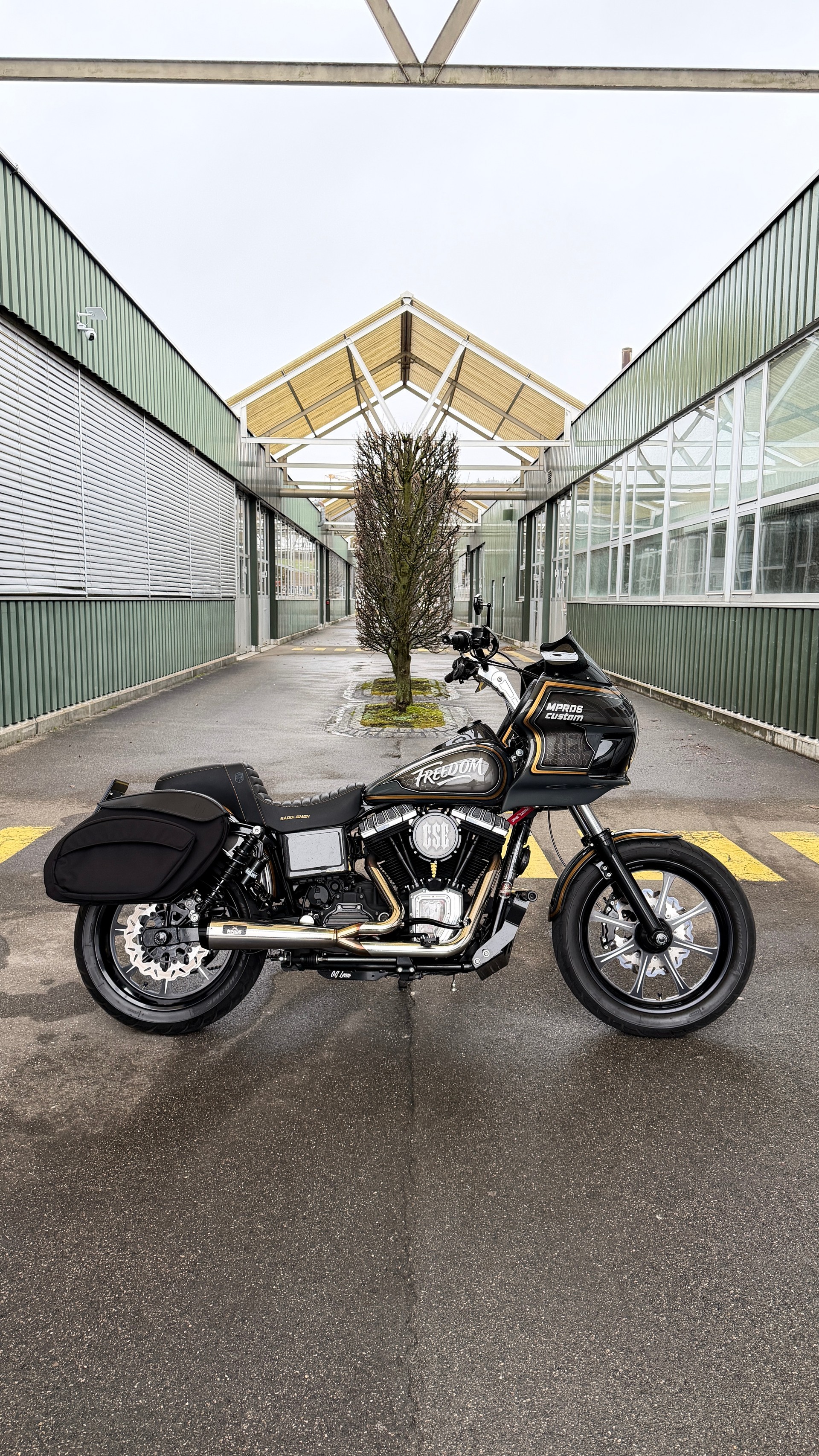 HARLEY-DAVIDSON FXDBI Dyna Street Bob-image-1