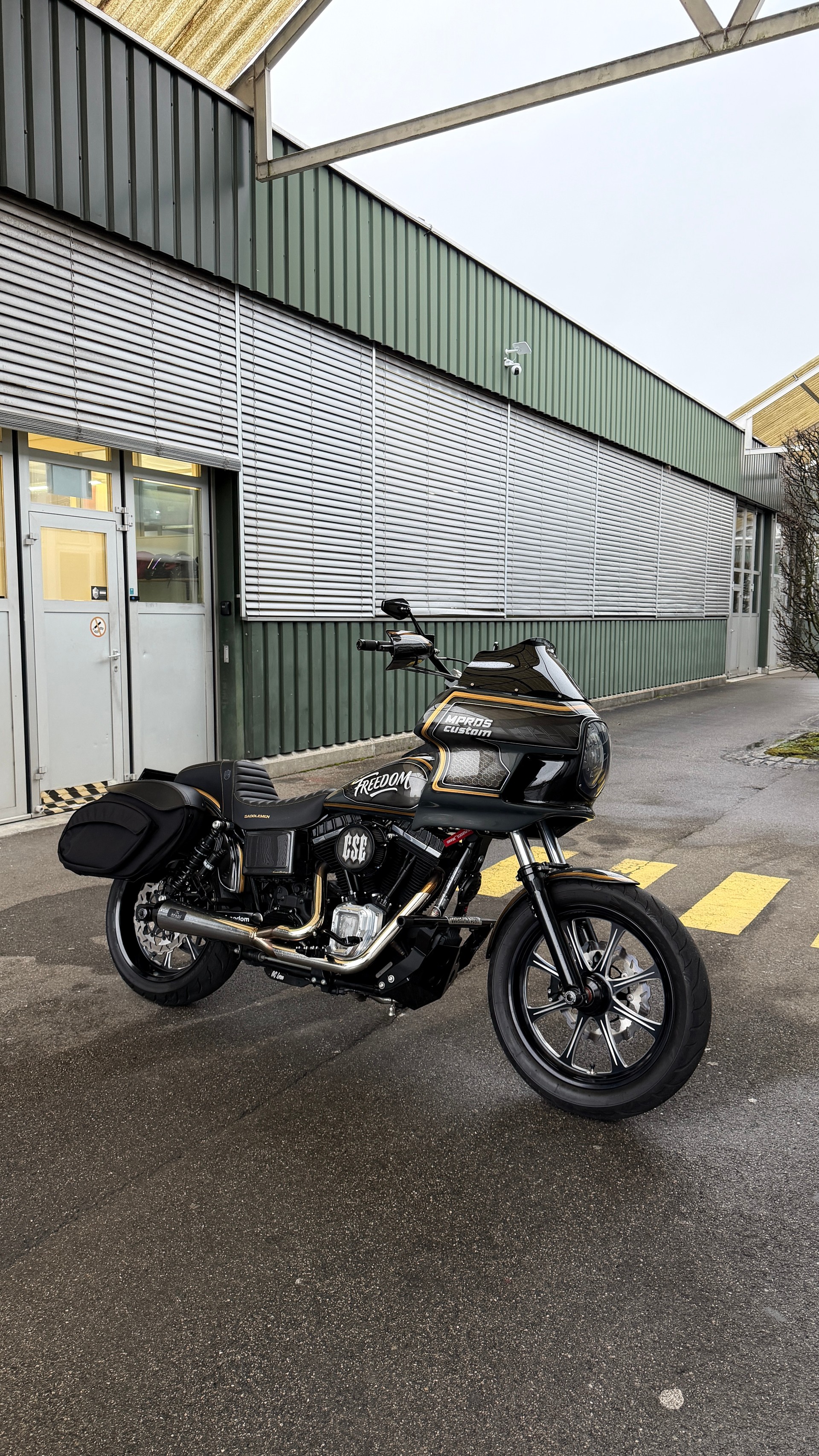 HARLEY-DAVIDSON FXDBI Dyna Street Bob-image-2