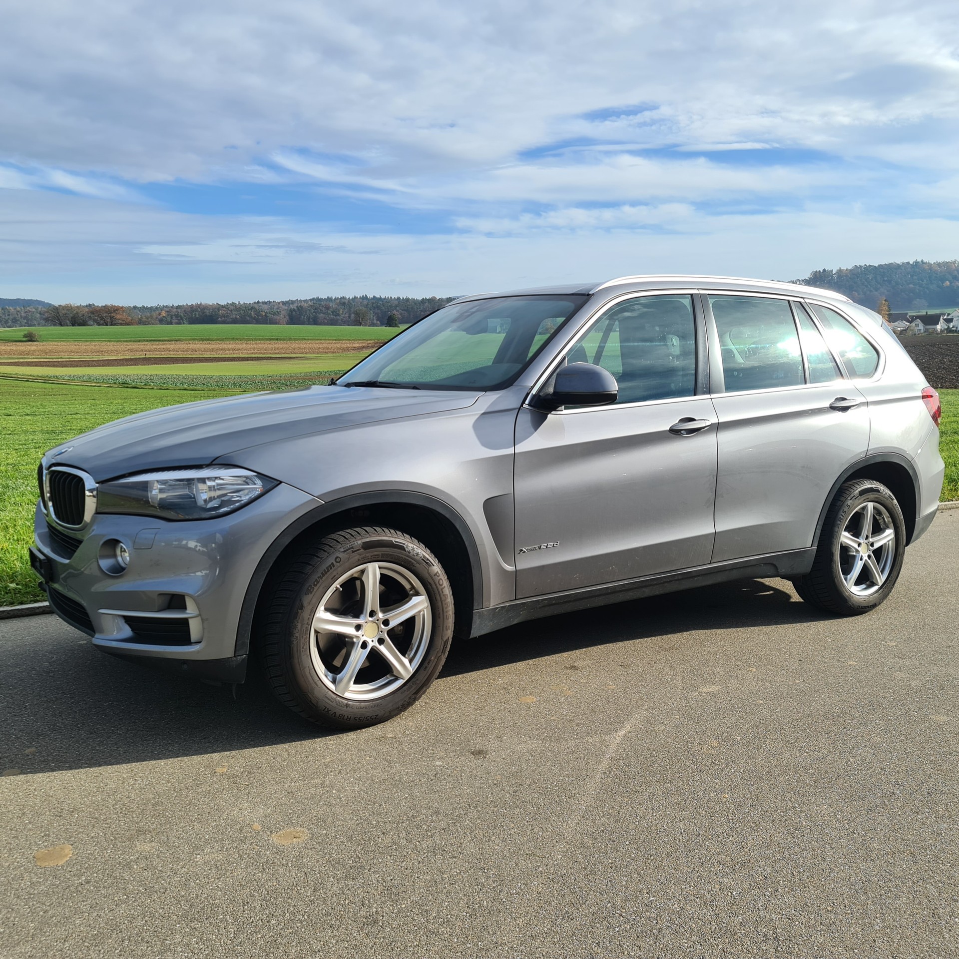 BMW X5 xDrive 25d Steptronic-image-3