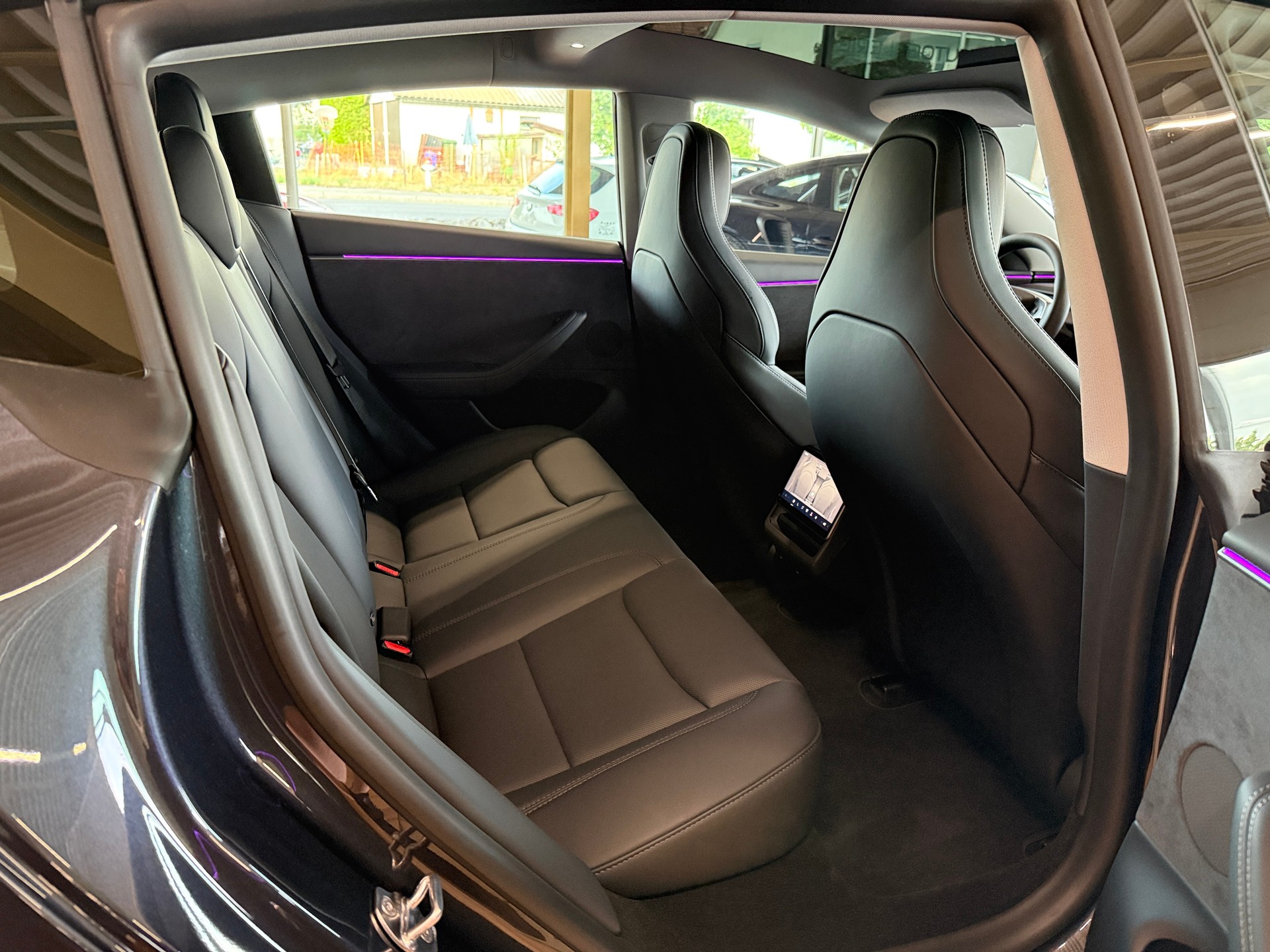 TESLA Performance Highland-image-10