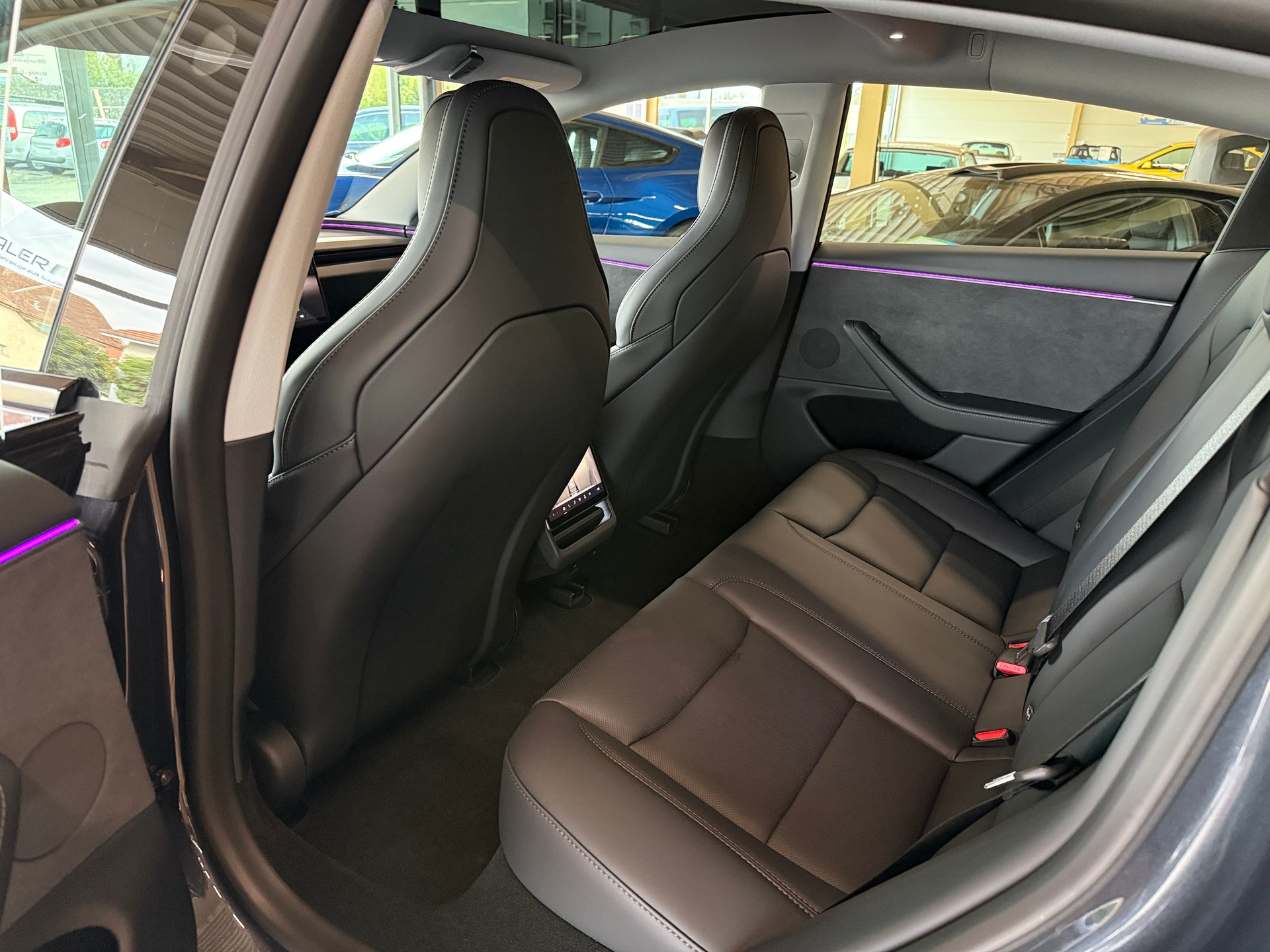 TESLA Performance Highland-image-8