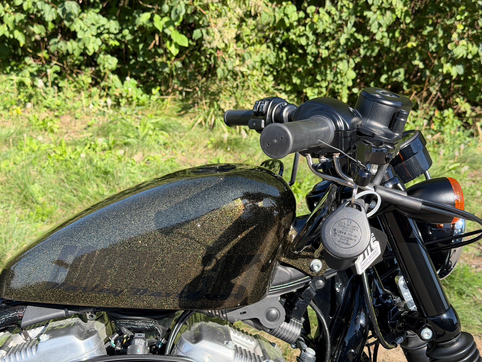 HARLEY-DAVIDSON XL 1200X Forty Eight (35 KW)-image-2