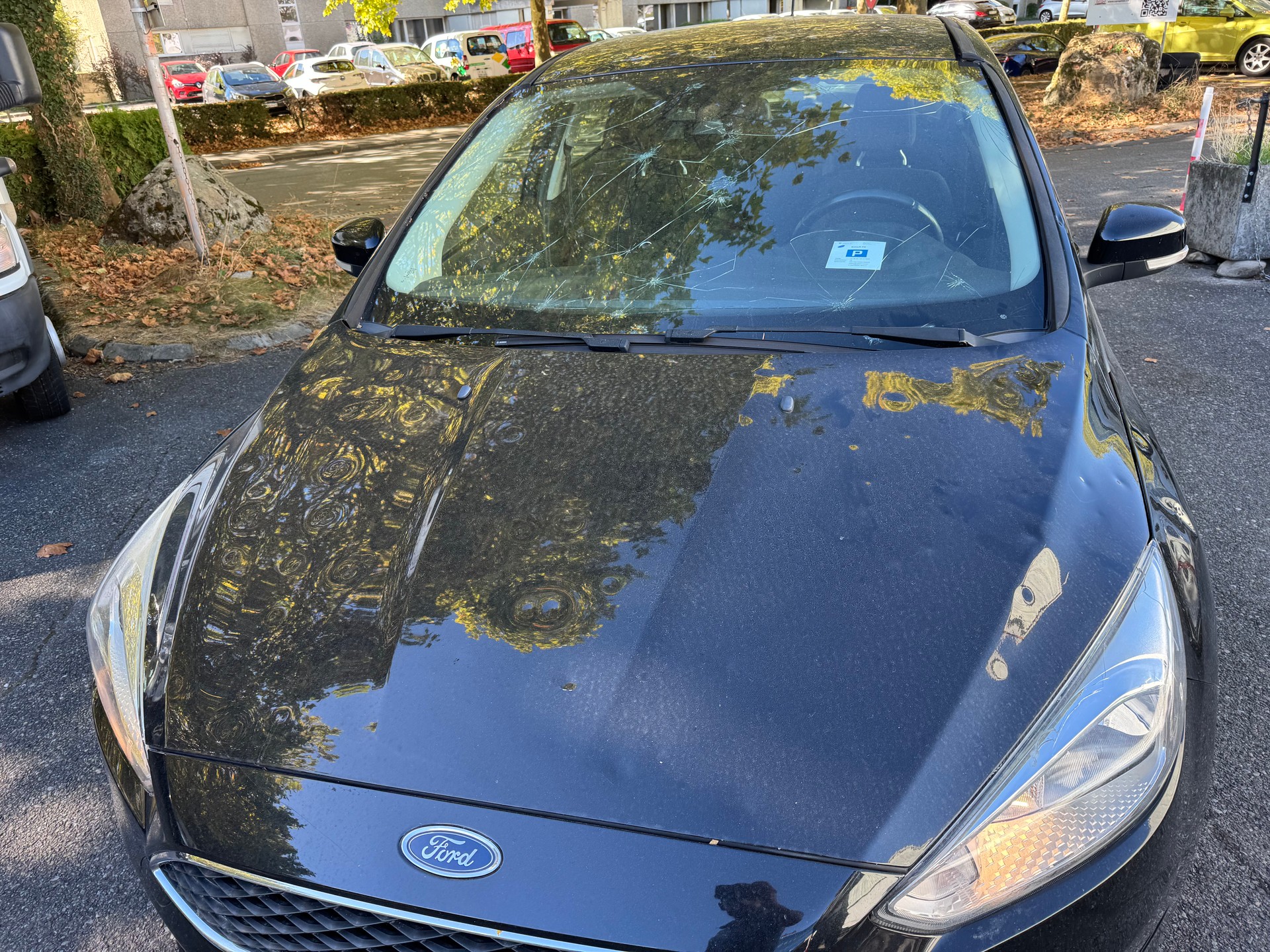 FORD Focus 2.0 TDCi Business Powershift-image-12