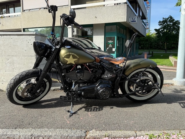 HARLEY-DAVIDSON FLSS Softail Slim S110 ABS-image-0