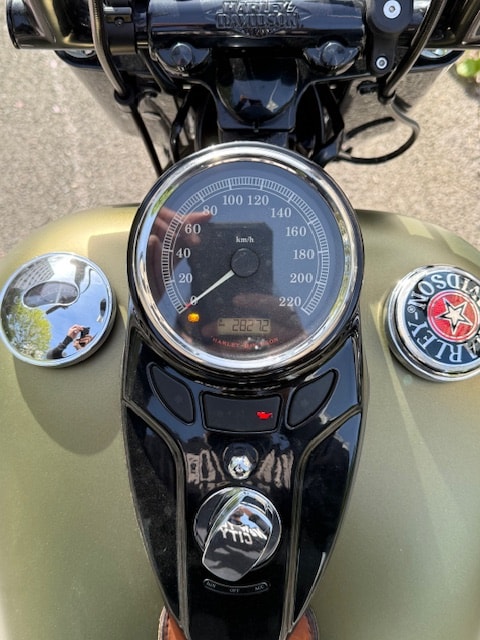 HARLEY-DAVIDSON FLSS Softail Slim S110 ABS-image-5