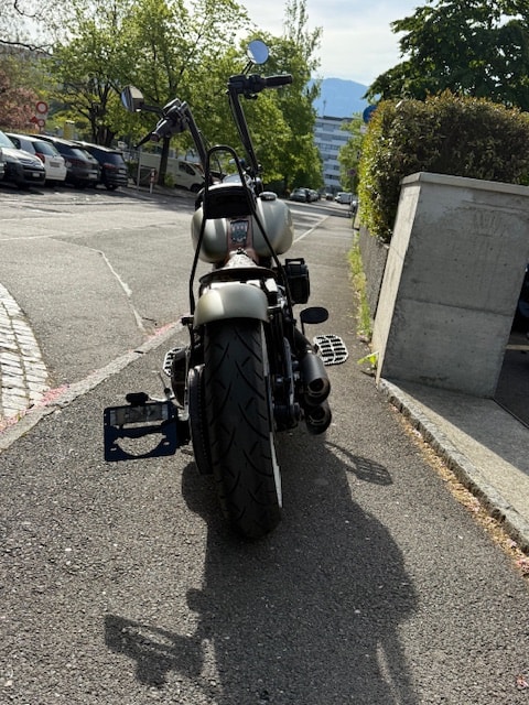 HARLEY-DAVIDSON FLSS Softail Slim S110 ABS-image-4