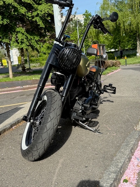 HARLEY-DAVIDSON FLSS Softail Slim S110 ABS-image-1