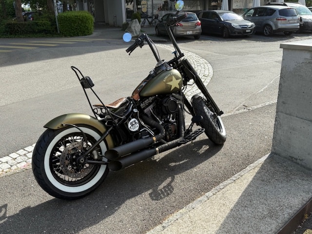 HARLEY-DAVIDSON FLSS Softail Slim S110 ABS-image-2