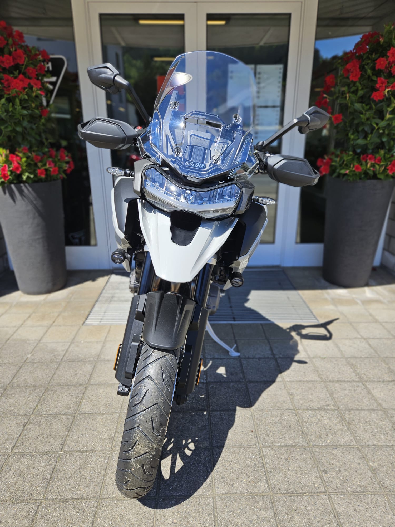 TRIUMPH Tiger 1200 Alpine Edition-image-4