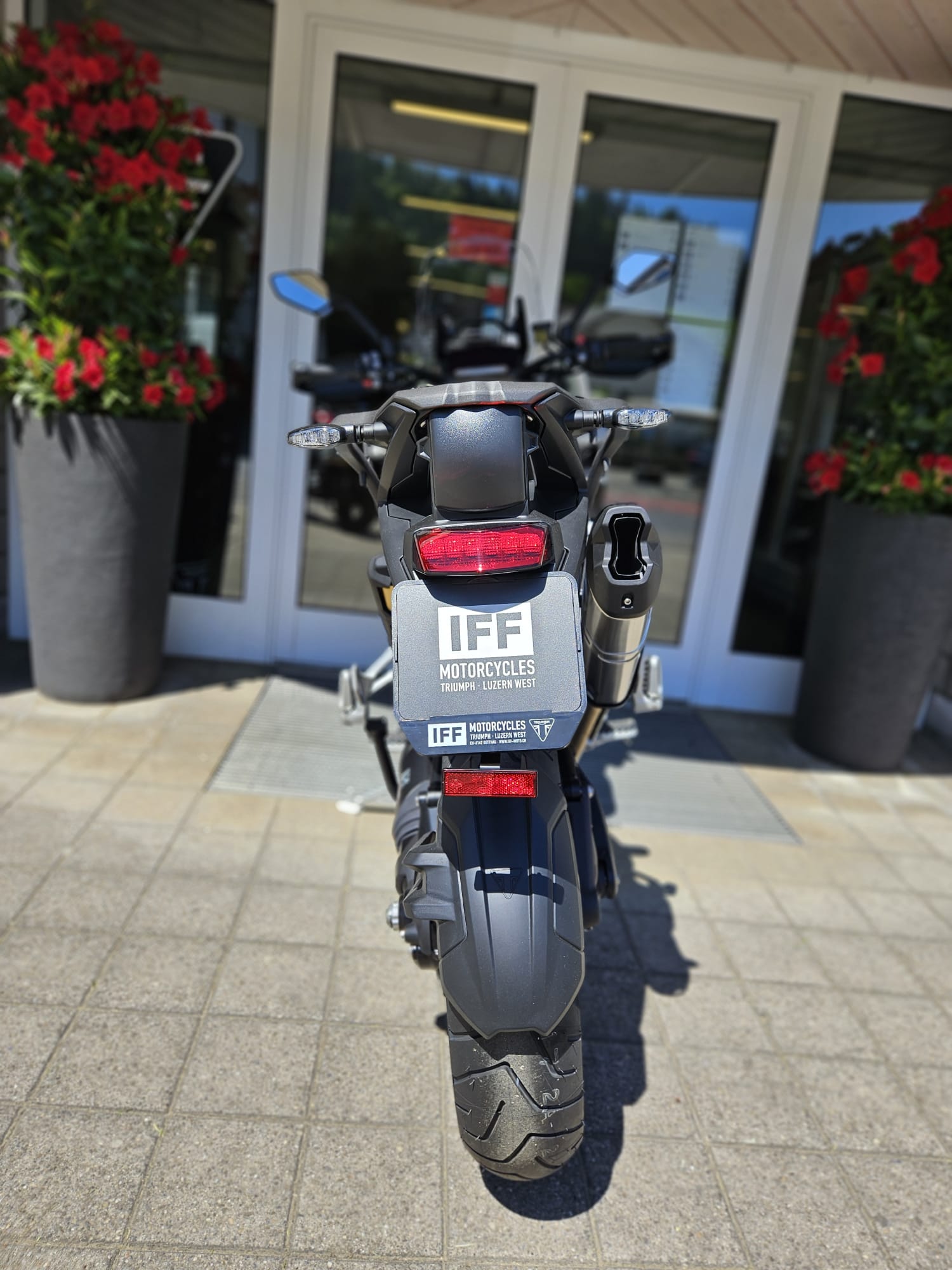 TRIUMPH Tiger 1200 Alpine Edition-image-5