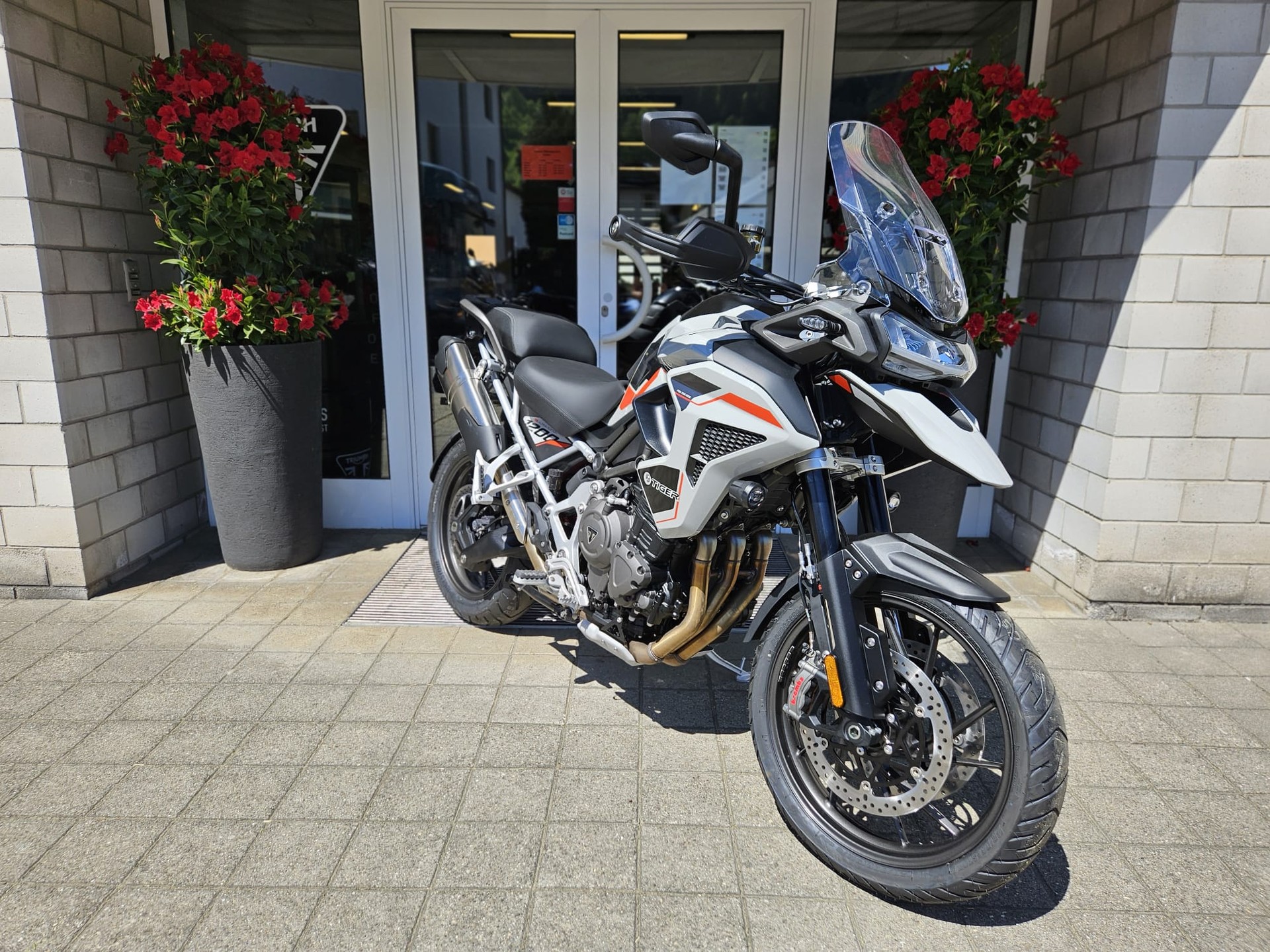 TRIUMPH Tiger 1200 Alpine Edition-image-2