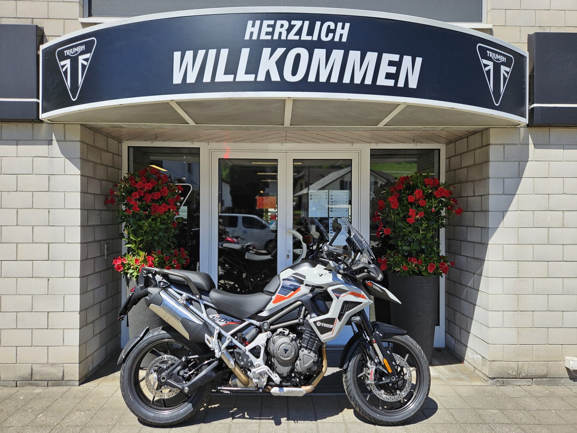 TRIUMPH Tiger 1200 Alpine Edition-image-0