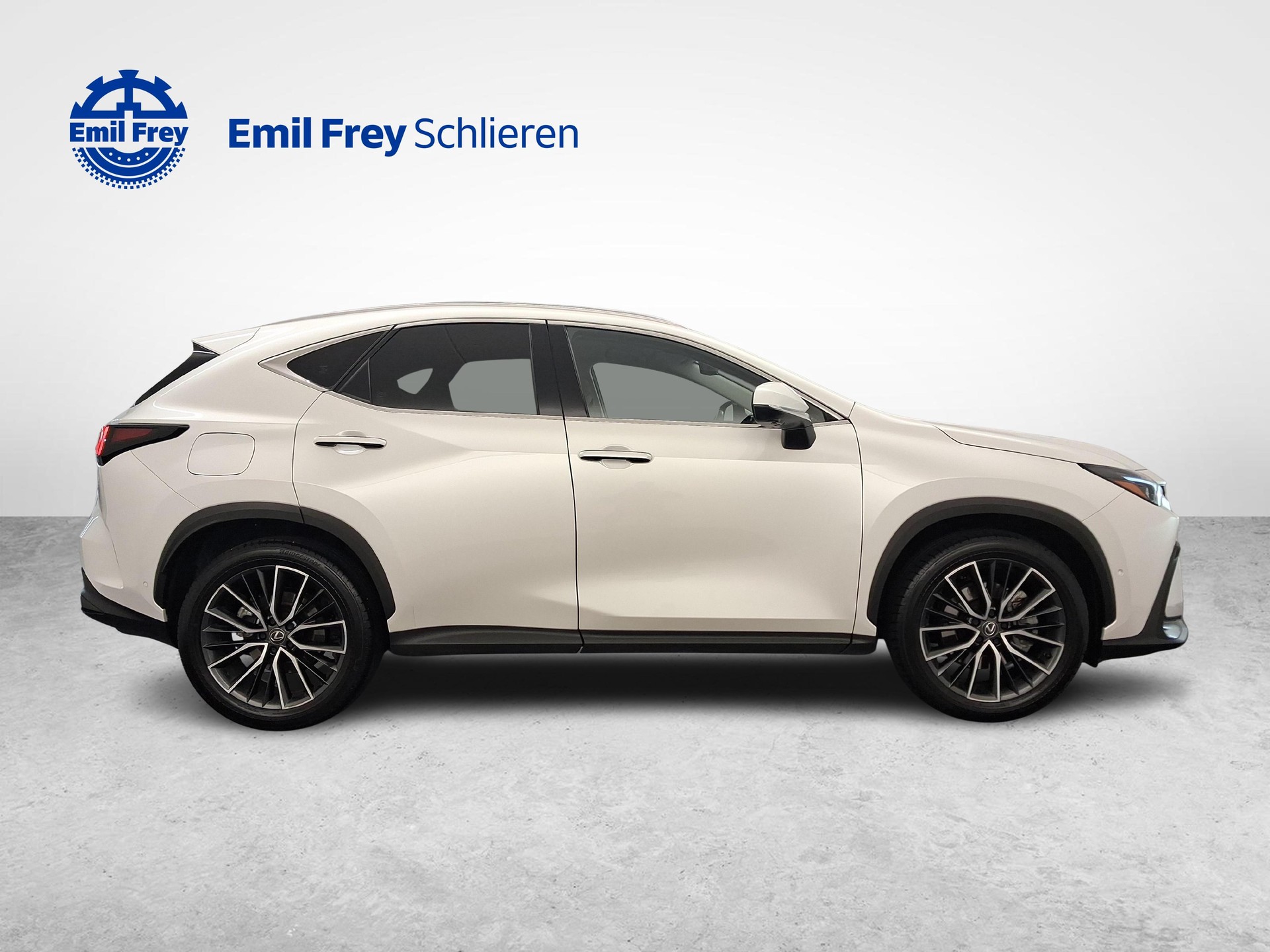 LEXUS NX 450h+ Excellence-image-5