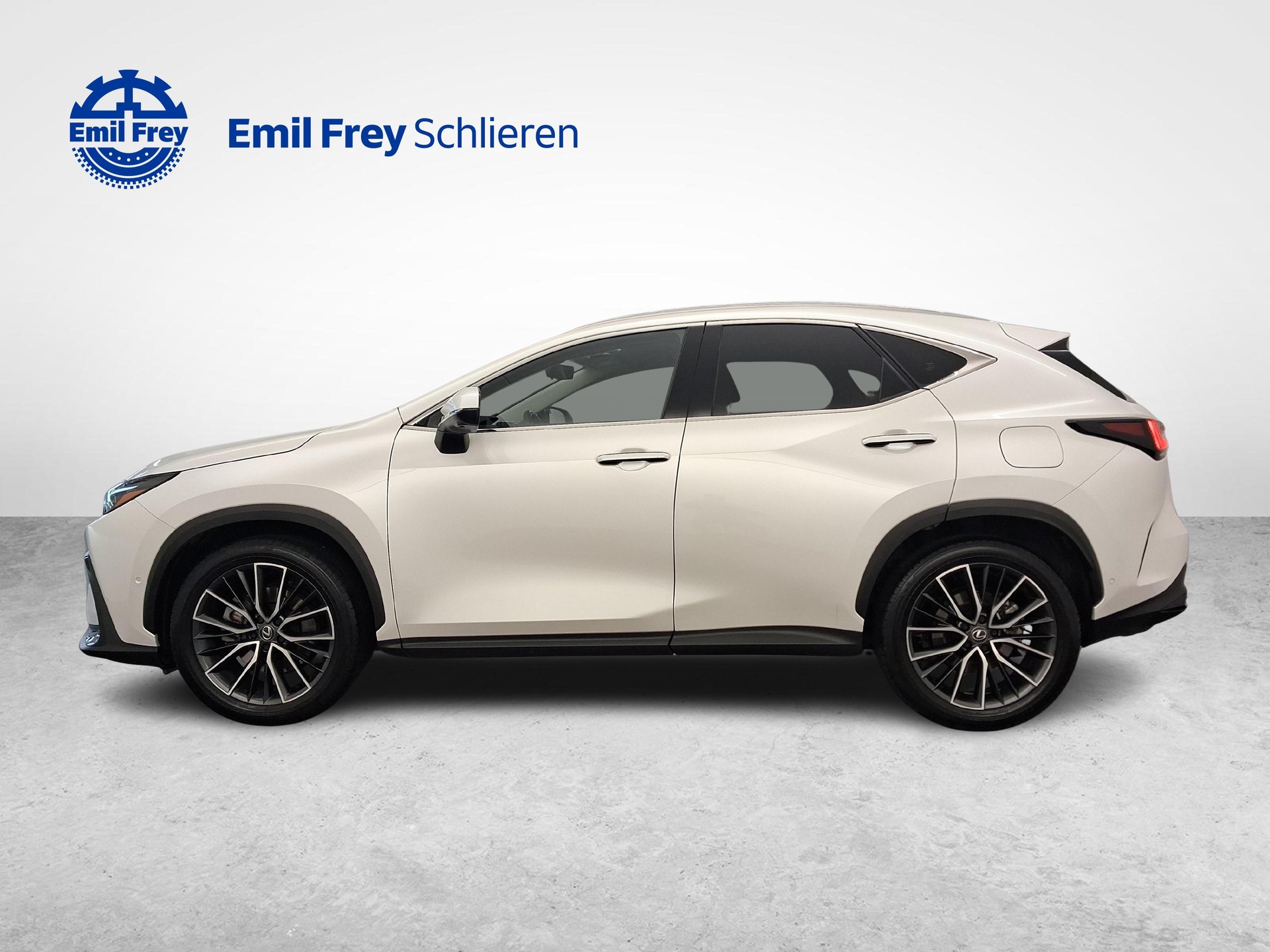LEXUS NX 450h+ Excellence-showroom-element-1
