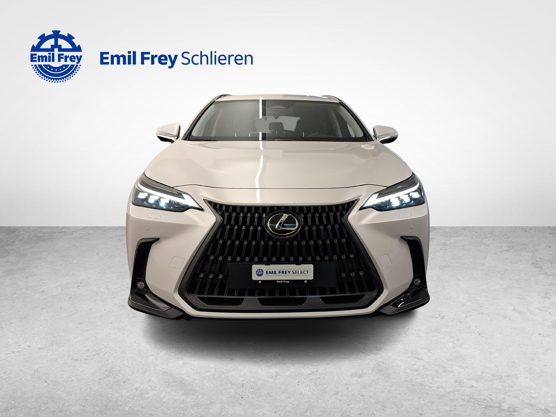 LEXUS NX 450h+ Excellence-image-7
