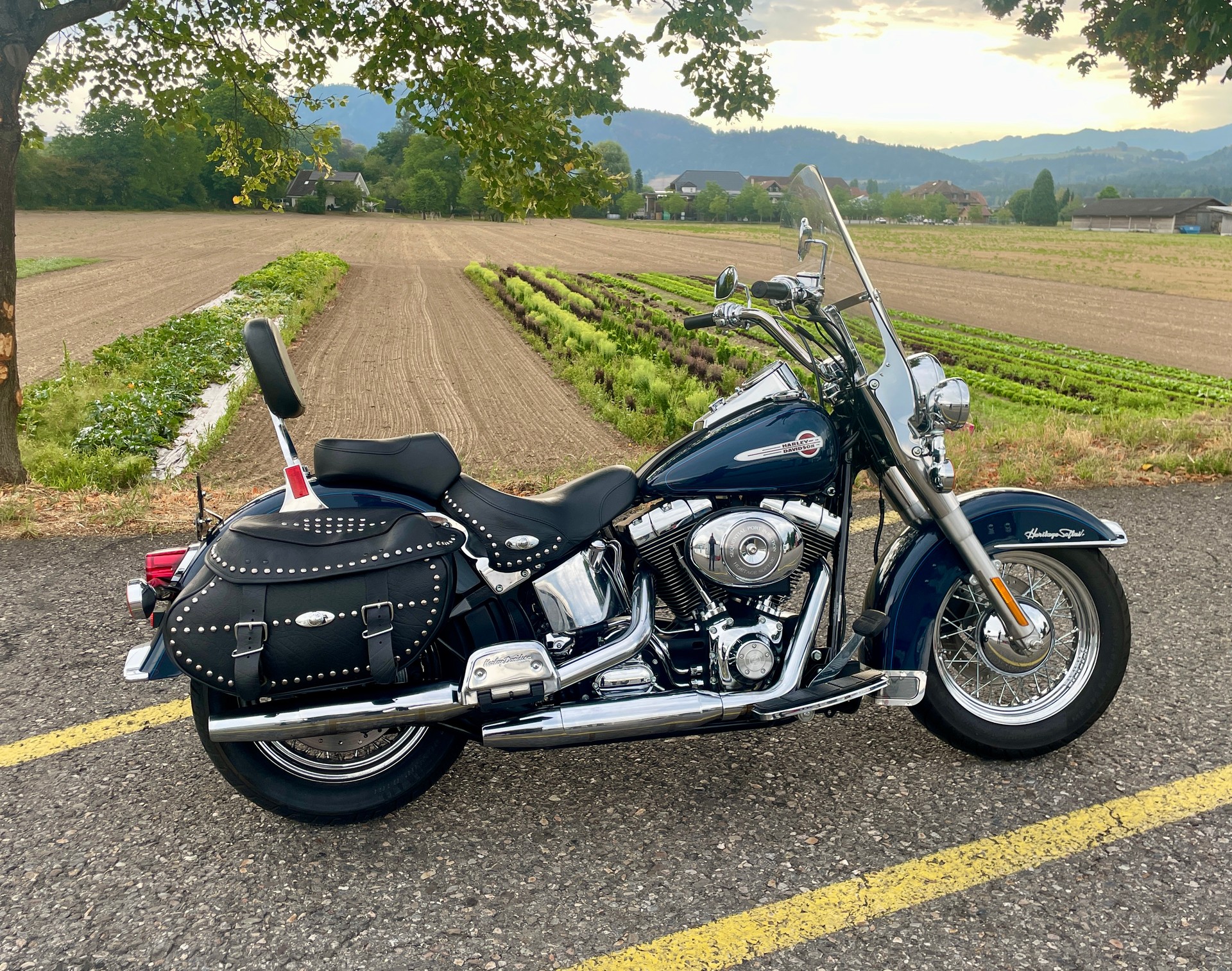 HARLEY-DAVIDSON FLSTCI Softail Classic-image-0