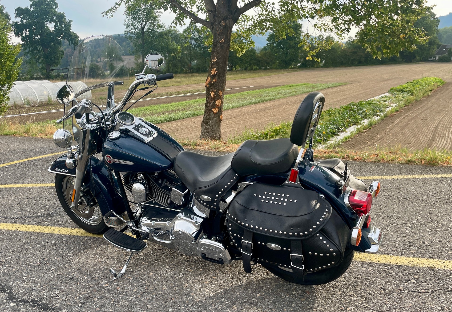 HARLEY-DAVIDSON FLSTCI Softail Classic-image-4