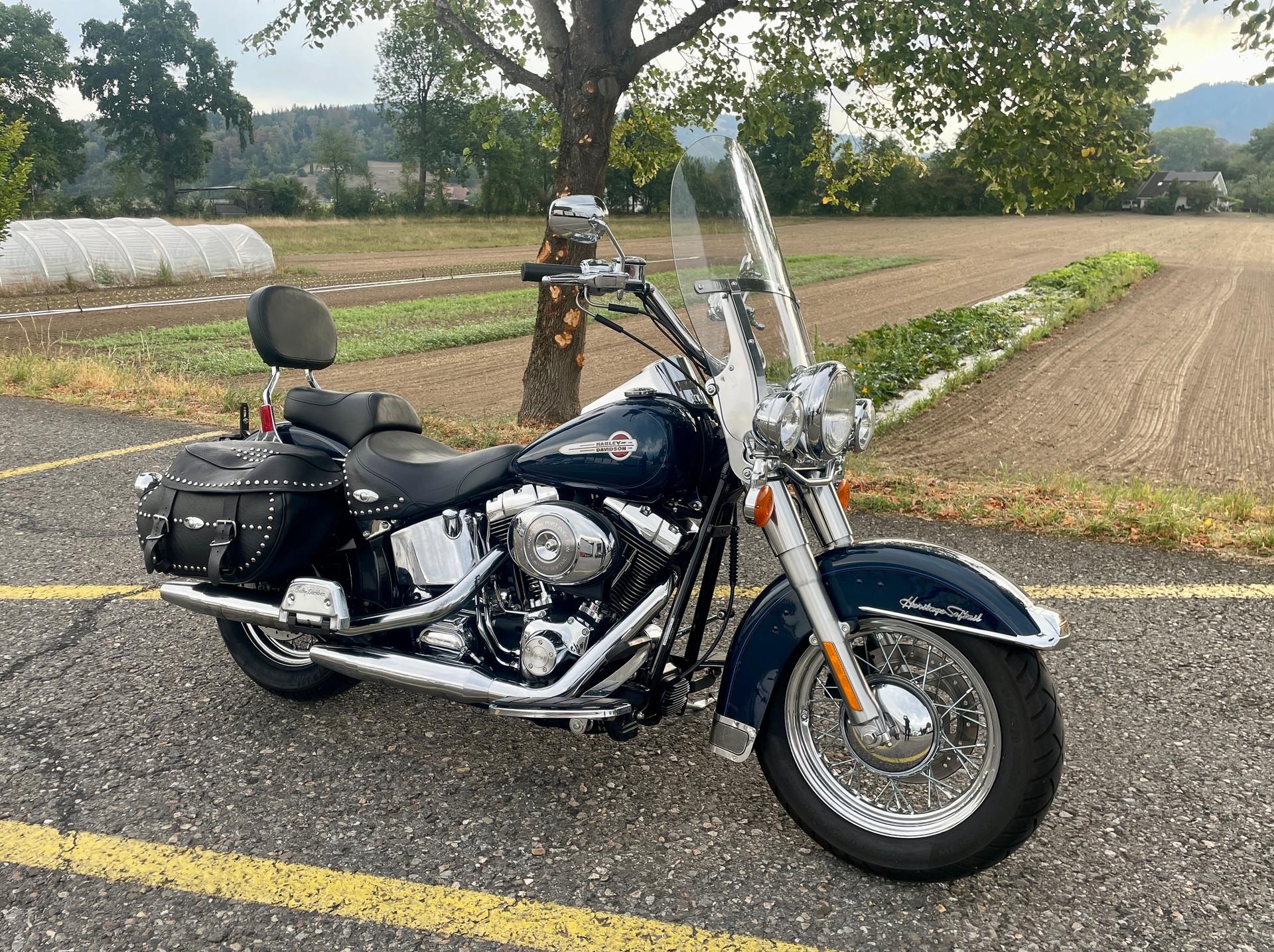 HARLEY-DAVIDSON FLSTCI Softail Classic-image-2